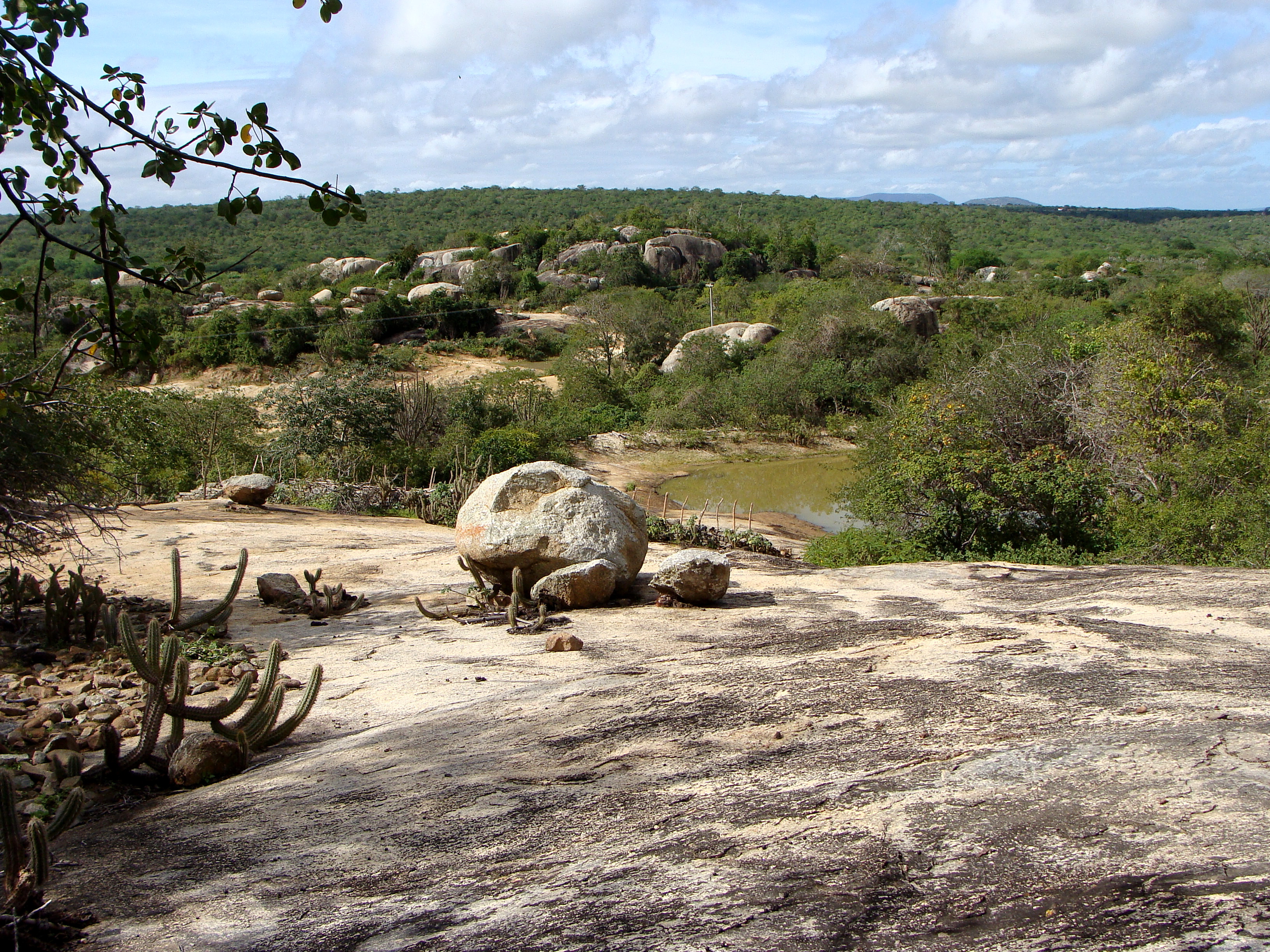 Paisagem da Caatinga