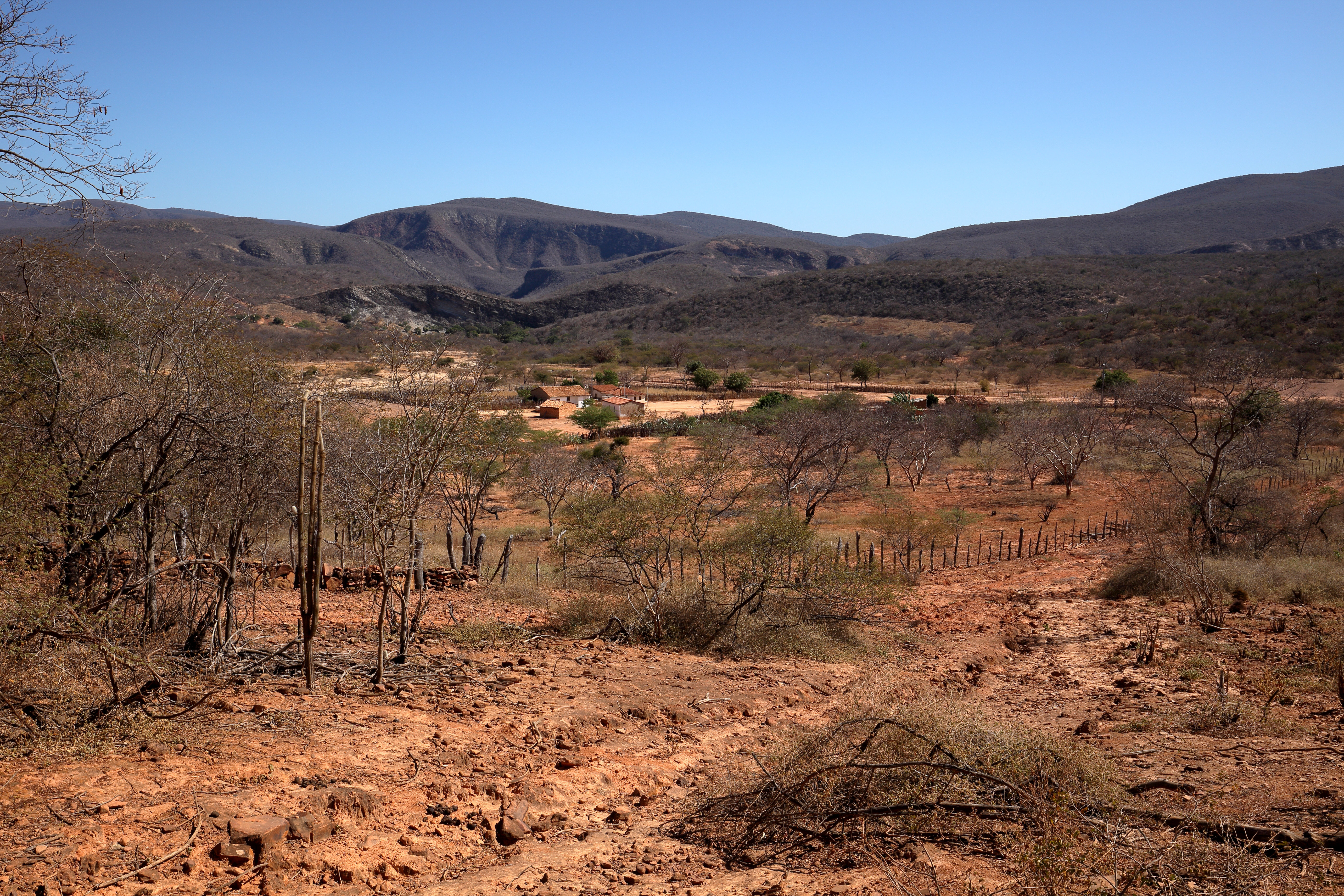 Caatinga Landscape In Brazil On Canvas