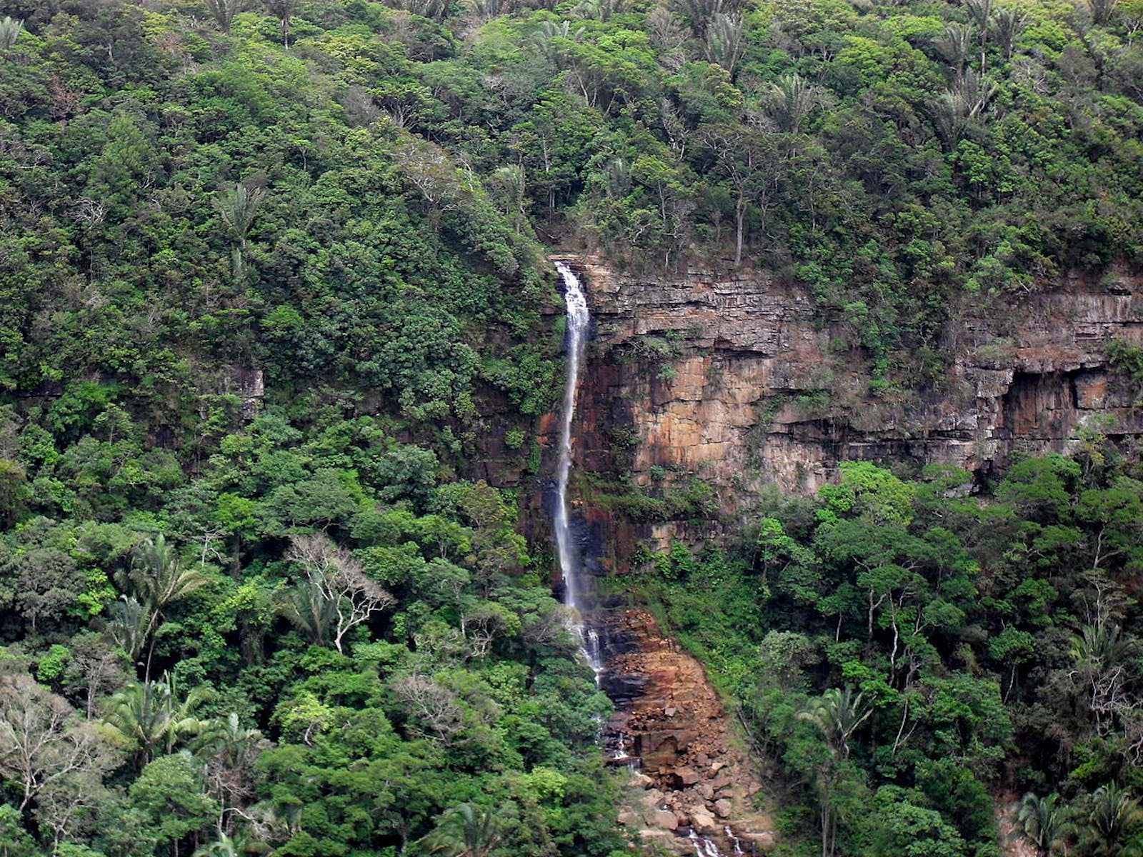 Caatinga Enclaves Moist Forests