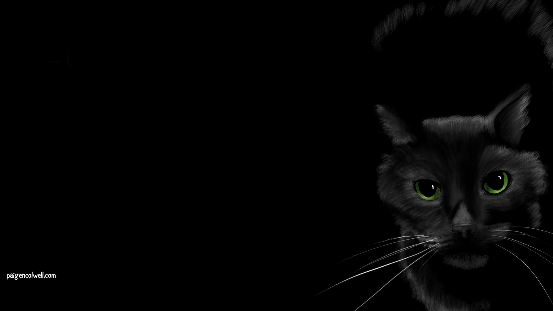 Black Cat Wallpaper!. Paige N Colwell