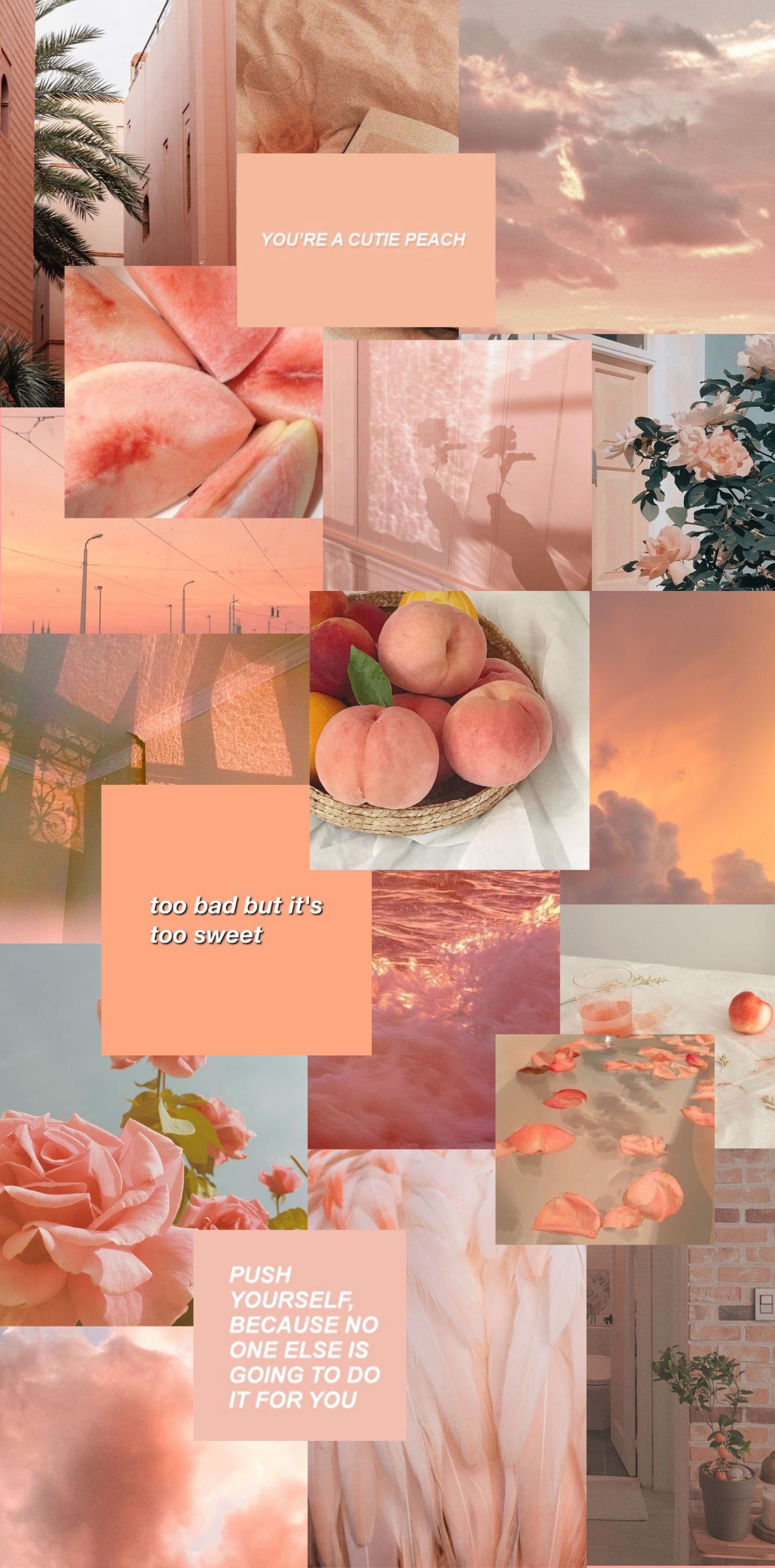 Peach Aesthetic Wallpaper. Peach