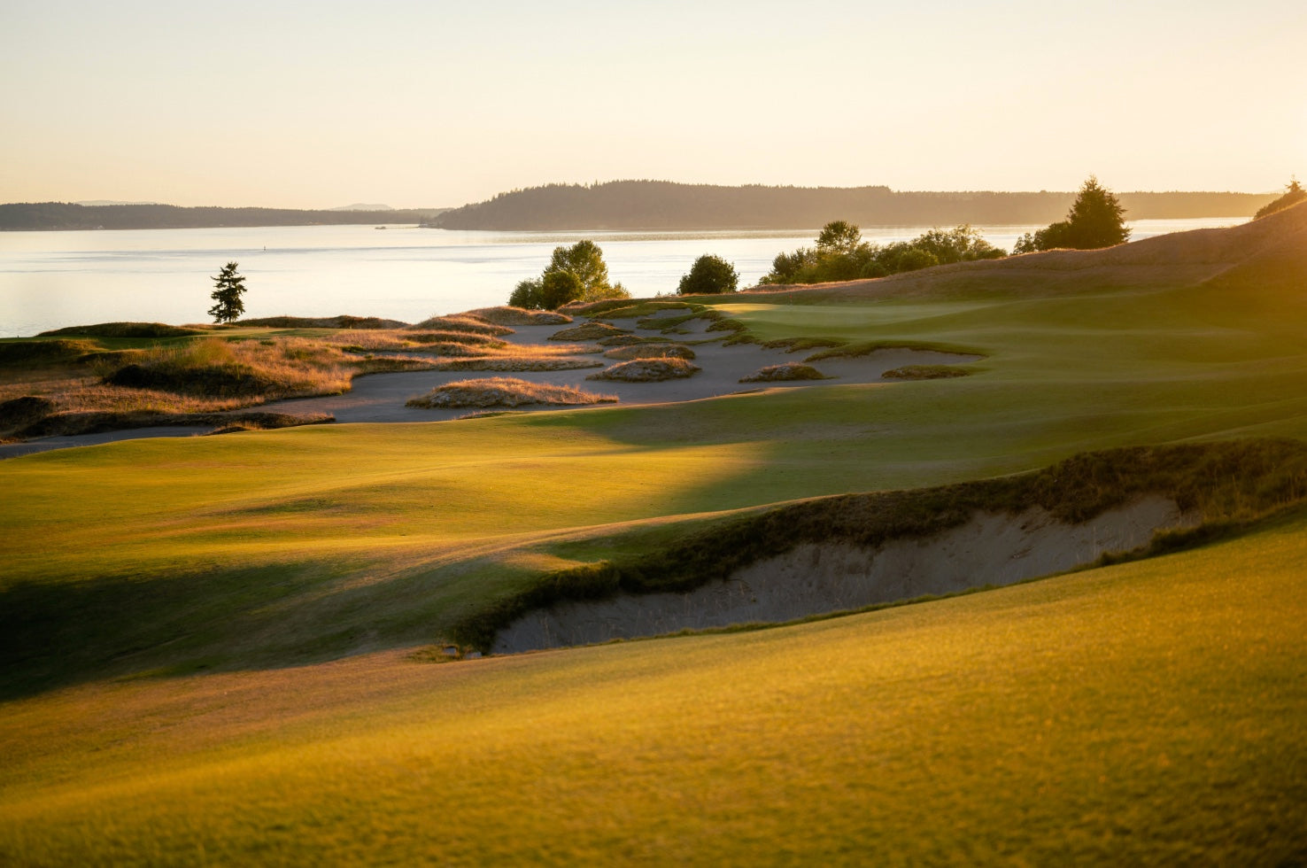 Chambers Bay. 14 Egg Golf