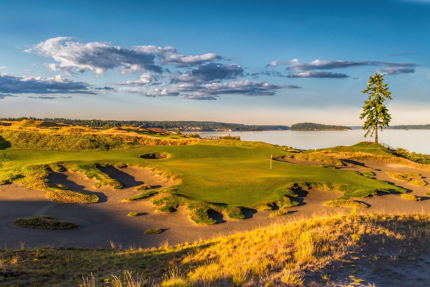 Chambers Bay Golf Course, Hole 15 Fine