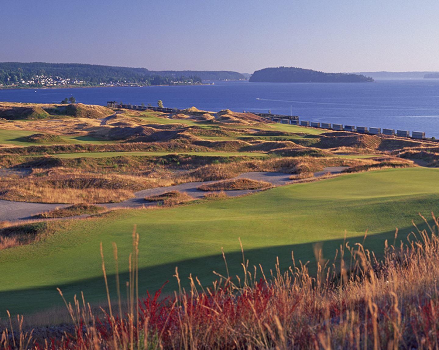 Chambers Bay Golf Course Designed