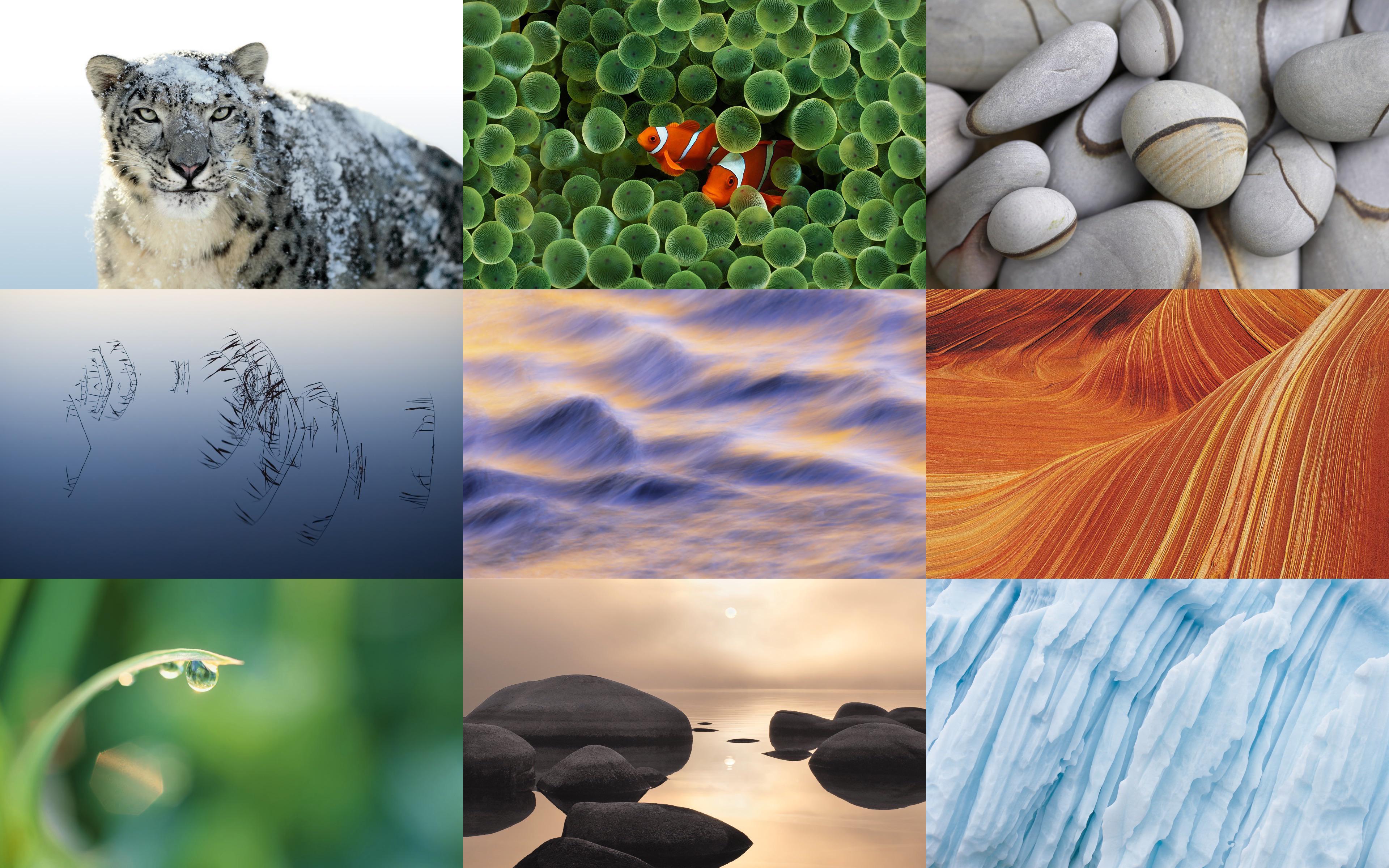 OS X Snow Leopard Nature Wallpaper