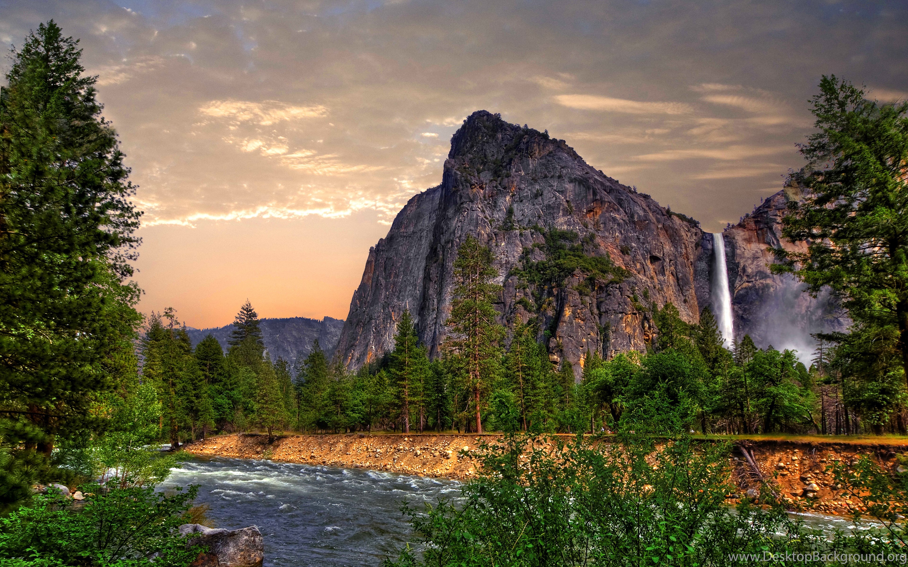 Yosemite Wallpaper, Nature / Forest