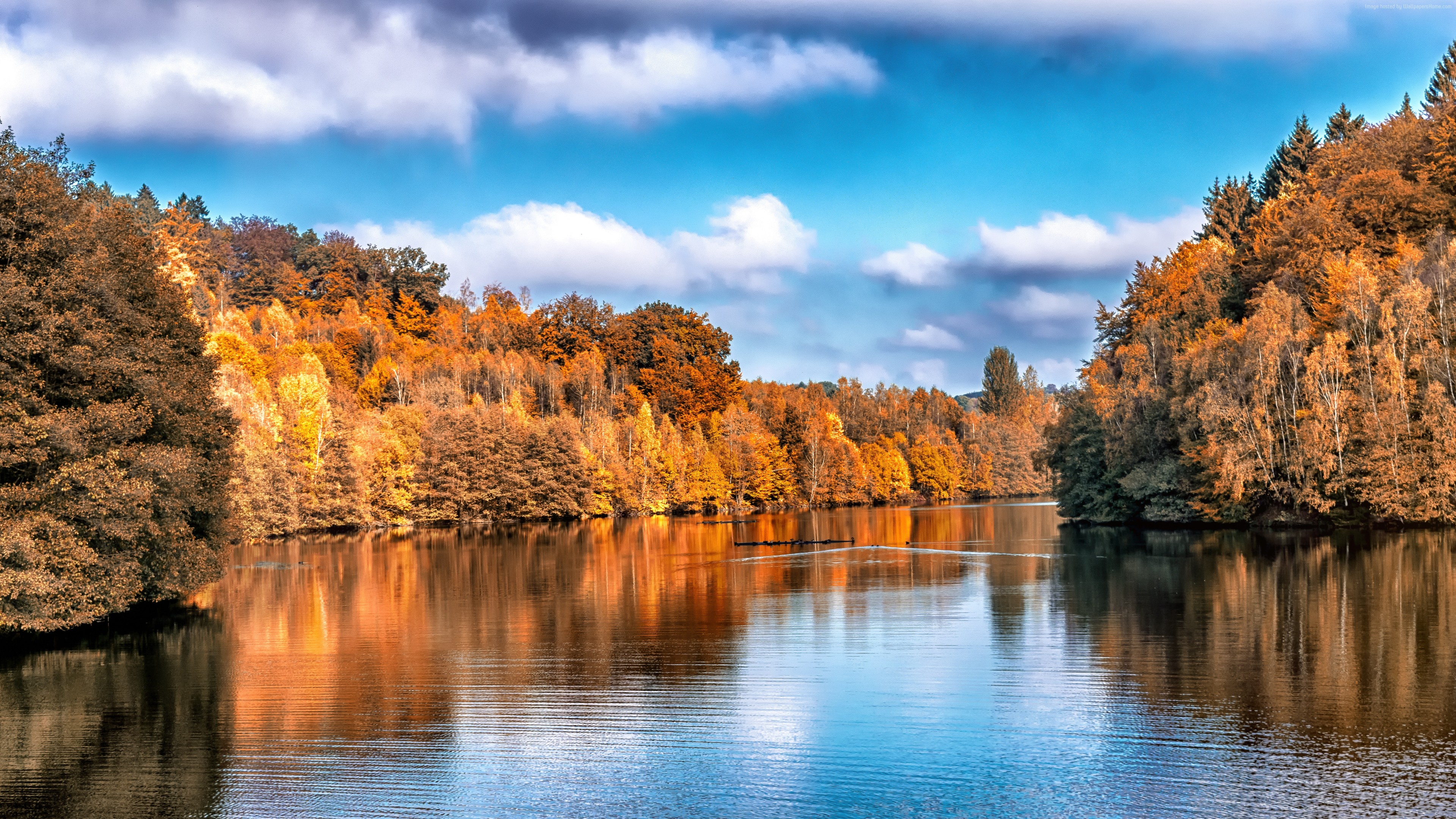 Wallpaper Autumn, lake, forest, 5k