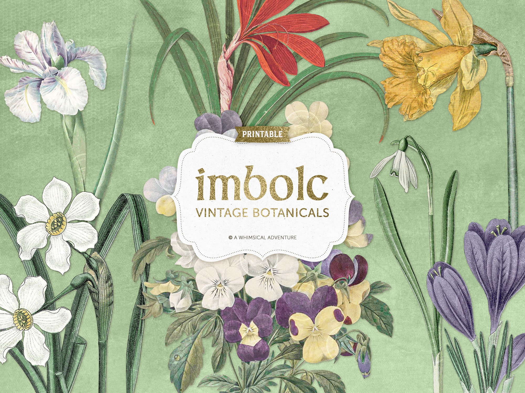 Blessed Imbolc, Antique Botanical