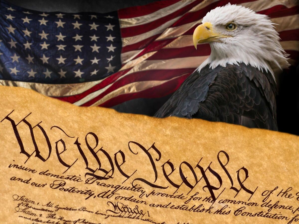 Bald Eagle Photo Poster