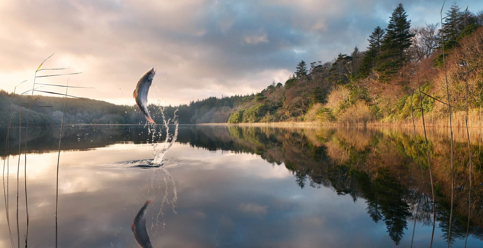 Lakes water sunrise sunset sky trees