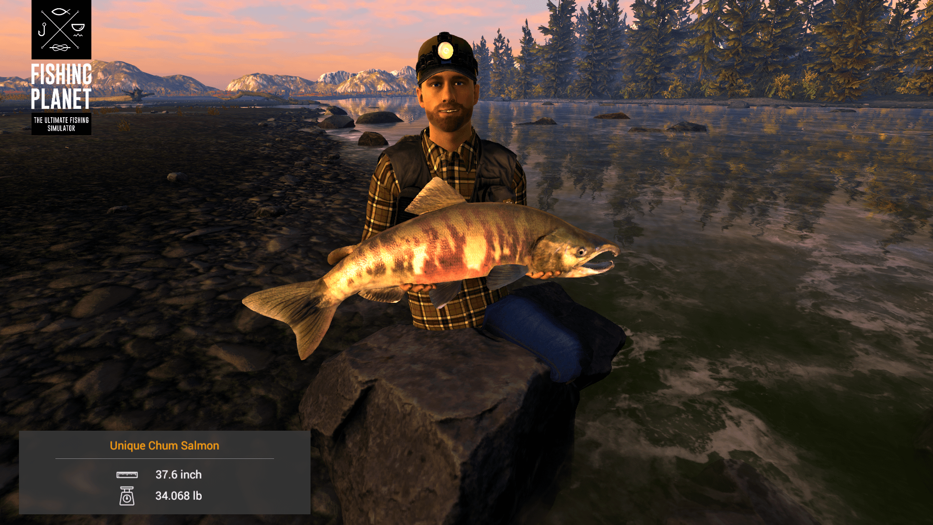 Trophy salmon