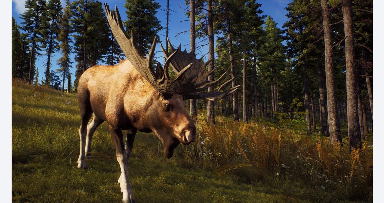 Way of the Hunter Season One