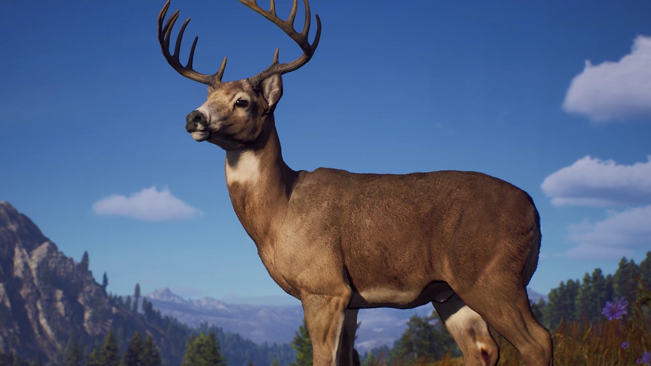 the Pacific Northwest