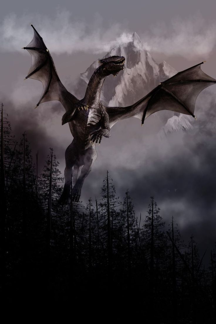 Zodiac Academy: The Awakening. Dragon