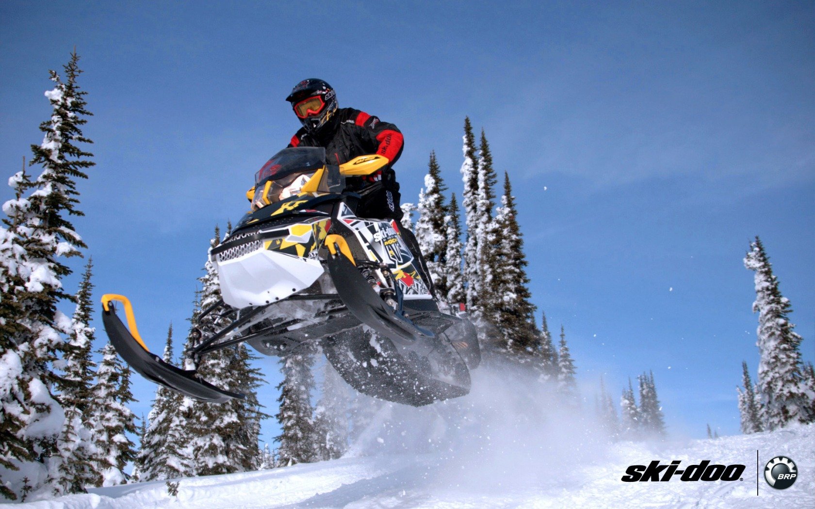 SKI DOO Snowmobile Sled Ski Doo Winter