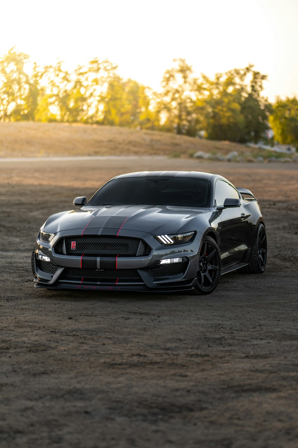 Mustang Shelby Picture. Download Free
