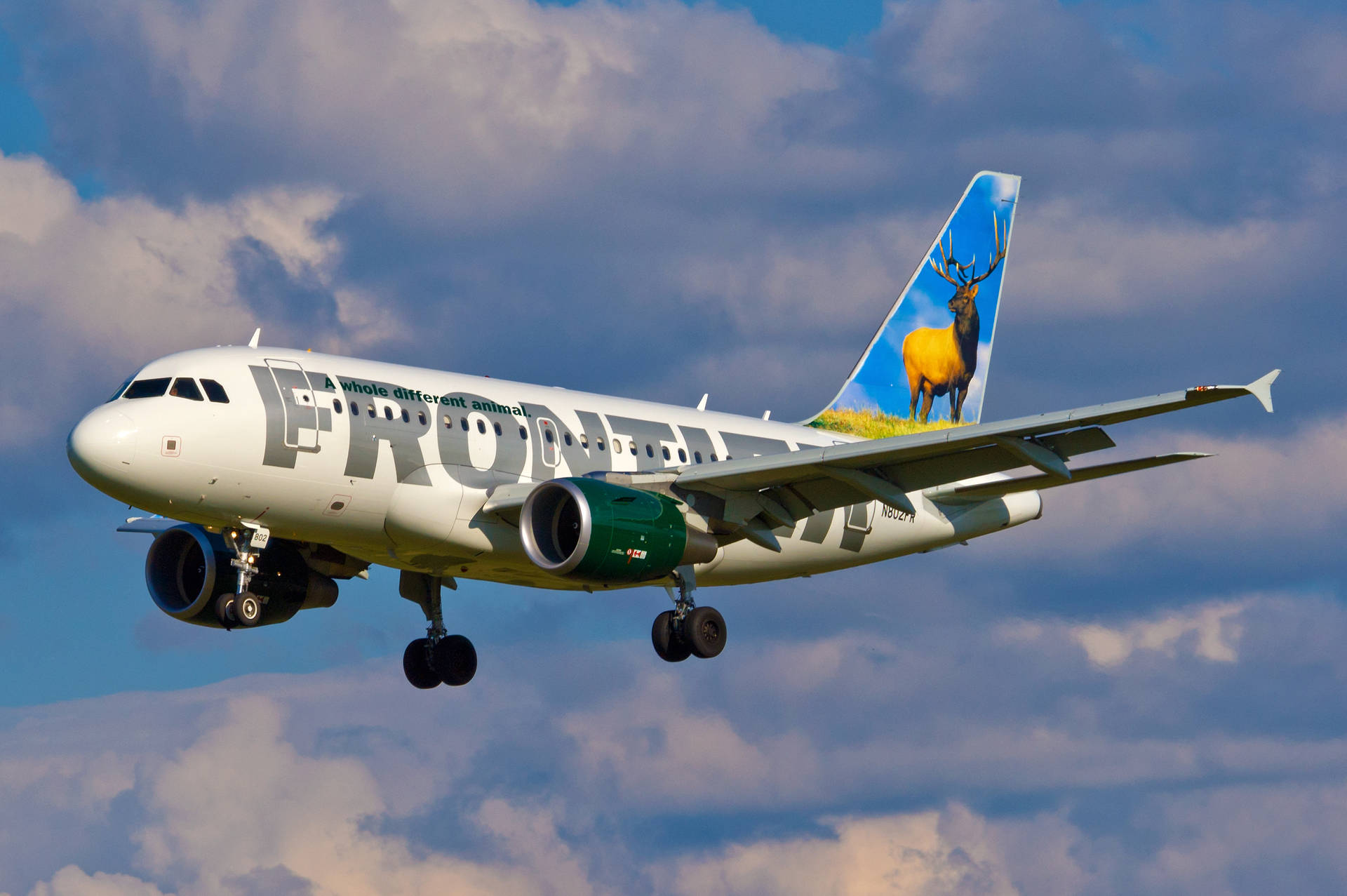 Deer Frontier Airlines Wallpaper