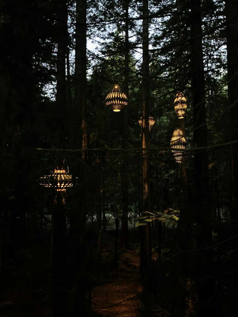 Rotorua Picture. Download Free Image