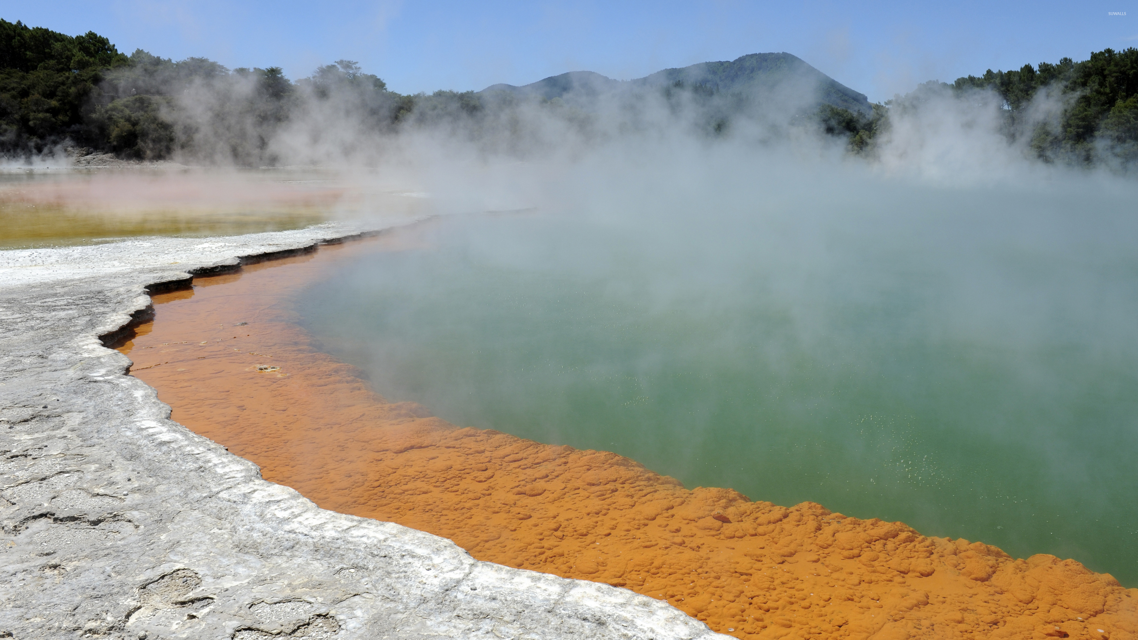 Rotorua wallpaper wallpaper