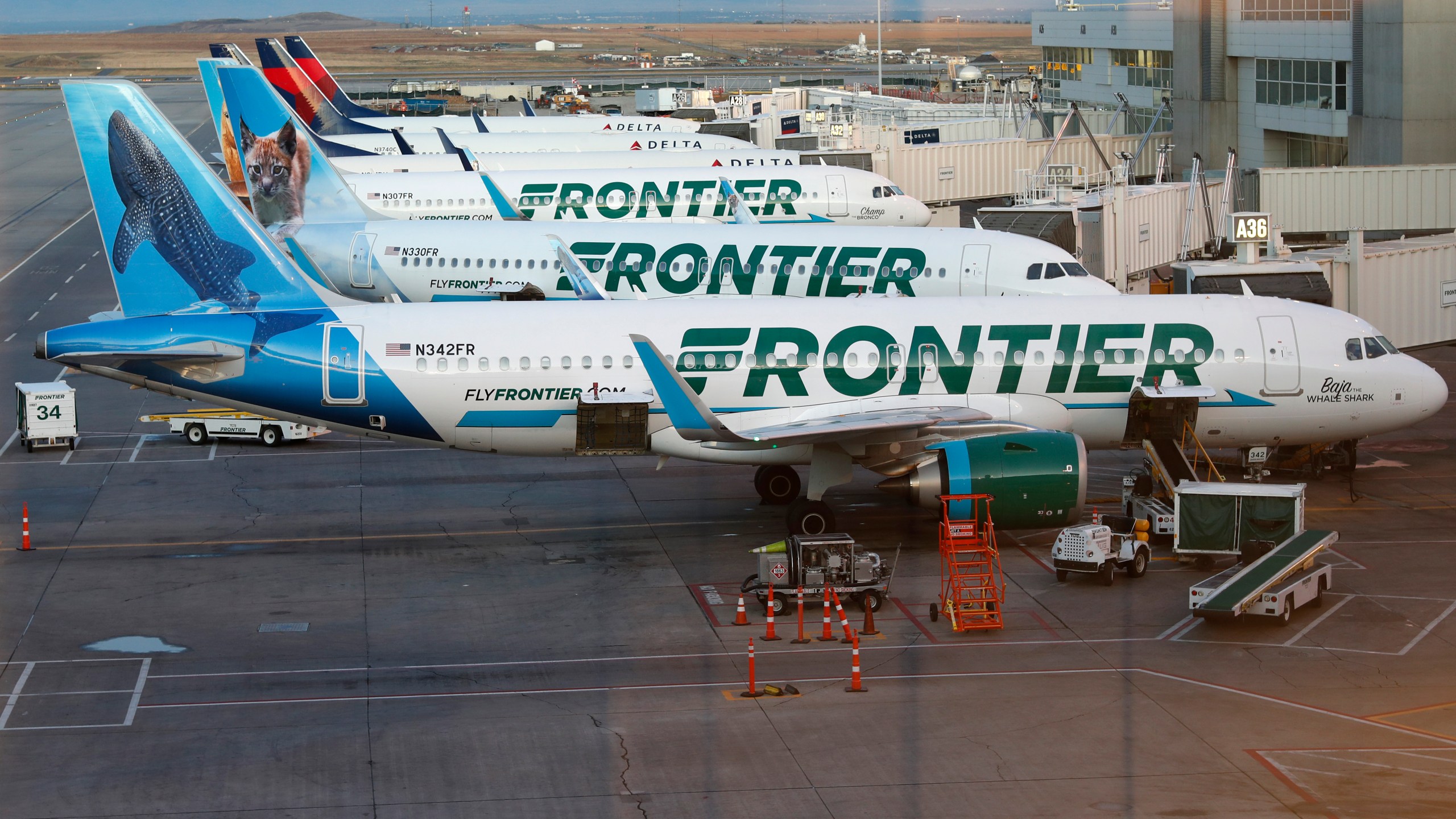 Frontier Airlines unveils new family