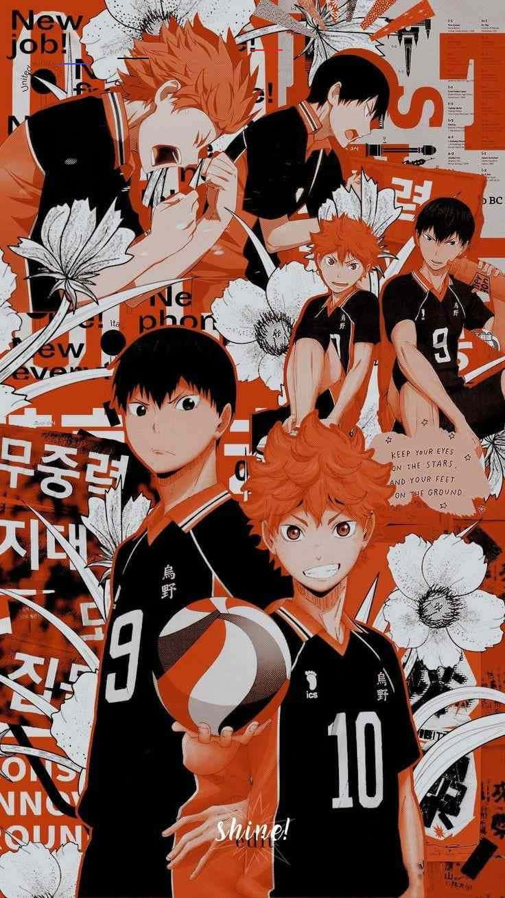 Download Haikyuu Anime Nine & Ten