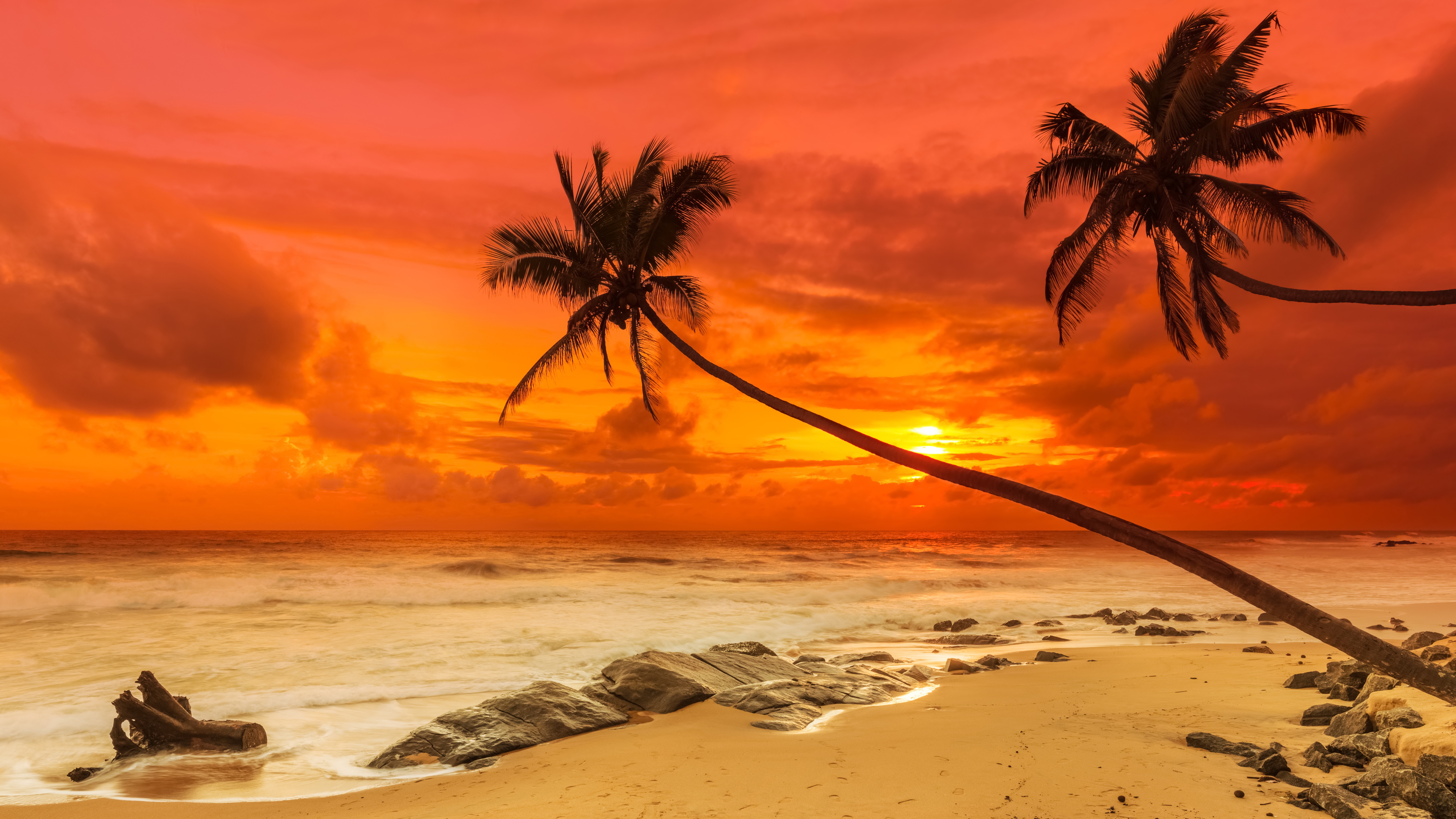 Tropical Beach Sunset