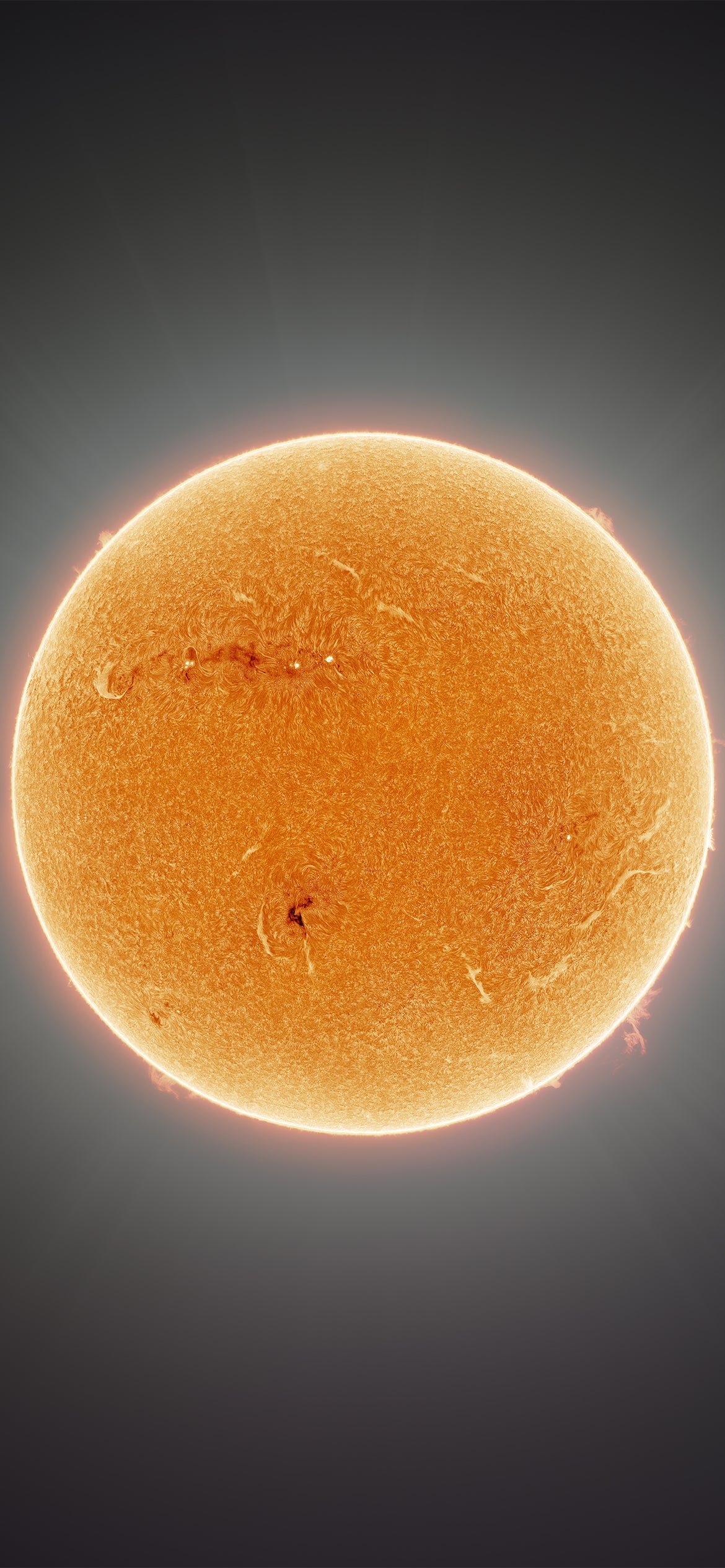 Orange Mobile Wallpapers Wallpaper Cave