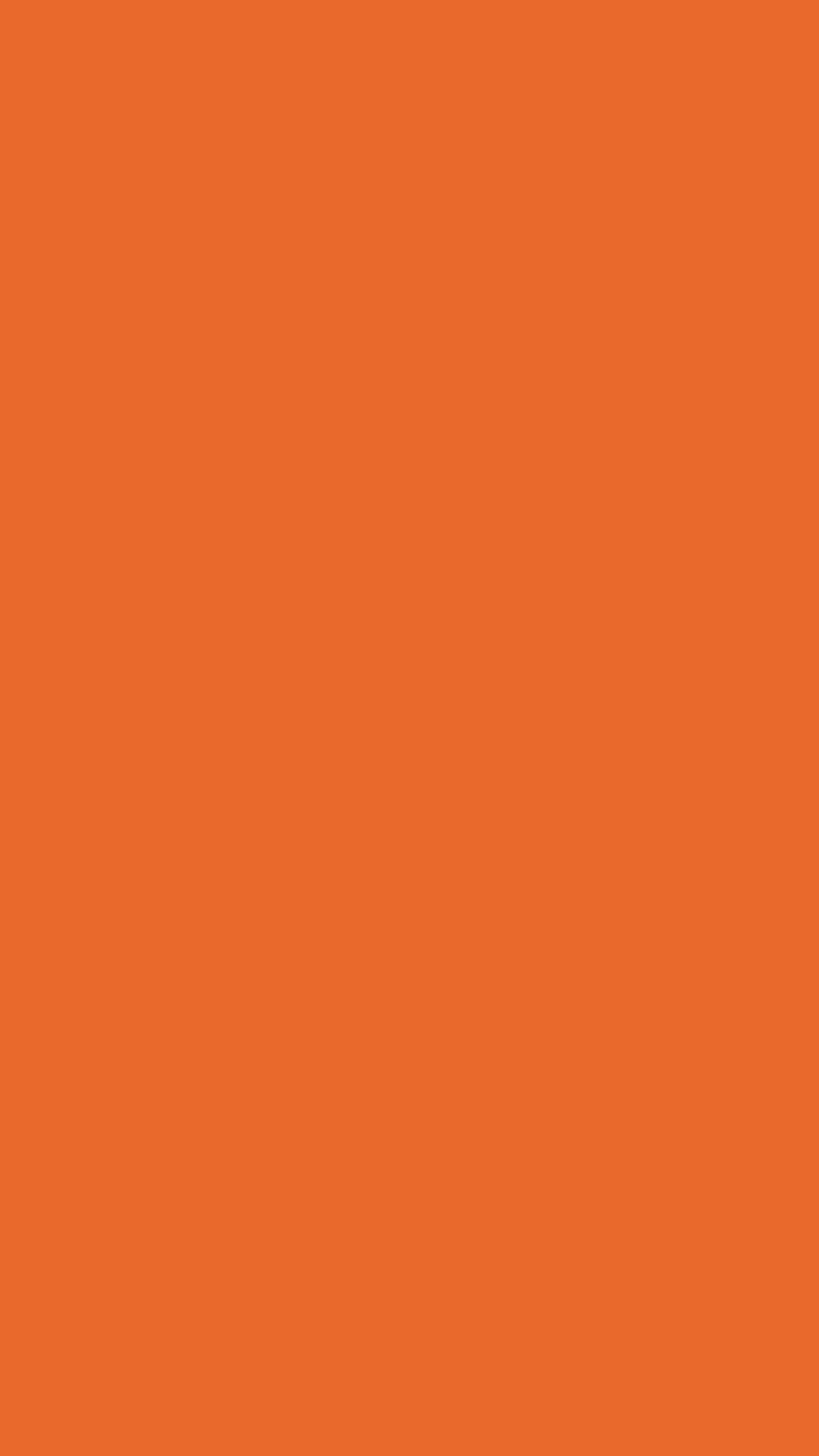 Deep Carrot Orange Solid Color