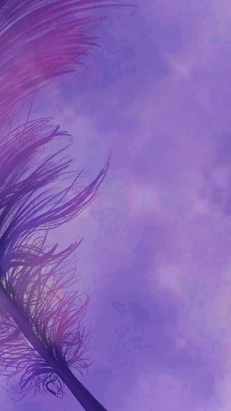 Download Aesthetic Feather Purple