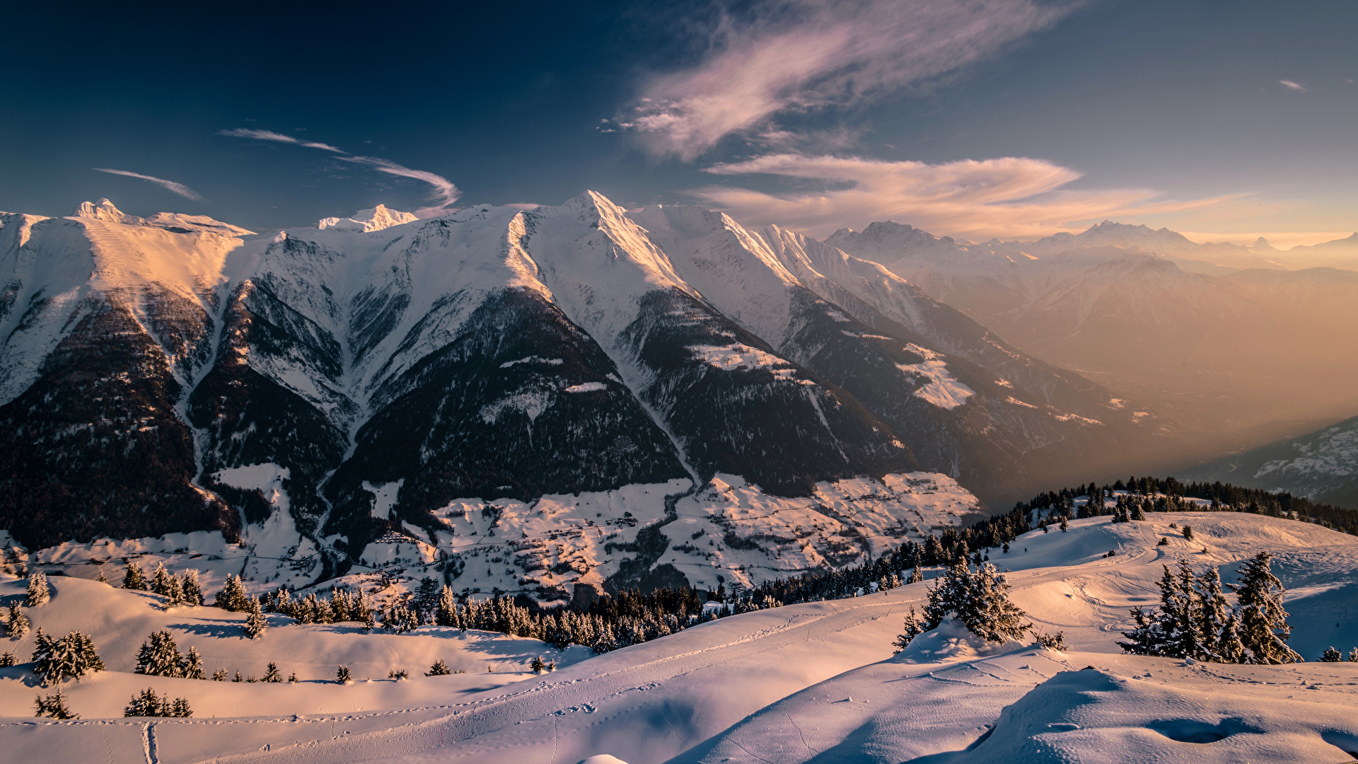 Picture Alps Switzerland Fiesch Spruce