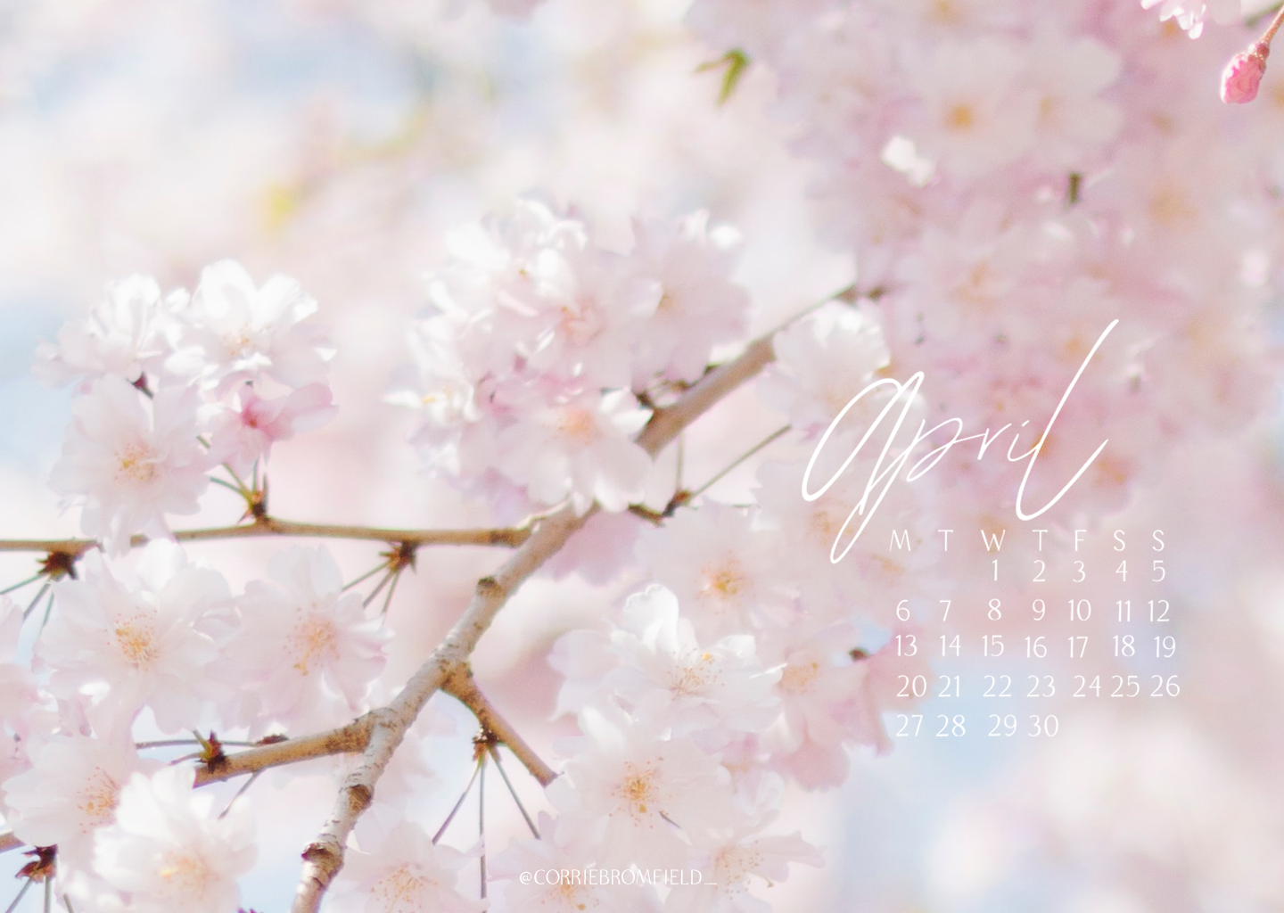 Free Spring Desktop Wallpaper