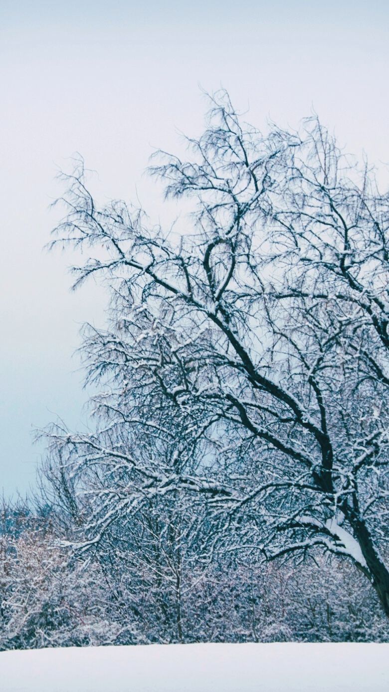 Winter Wallpaper For IPhone