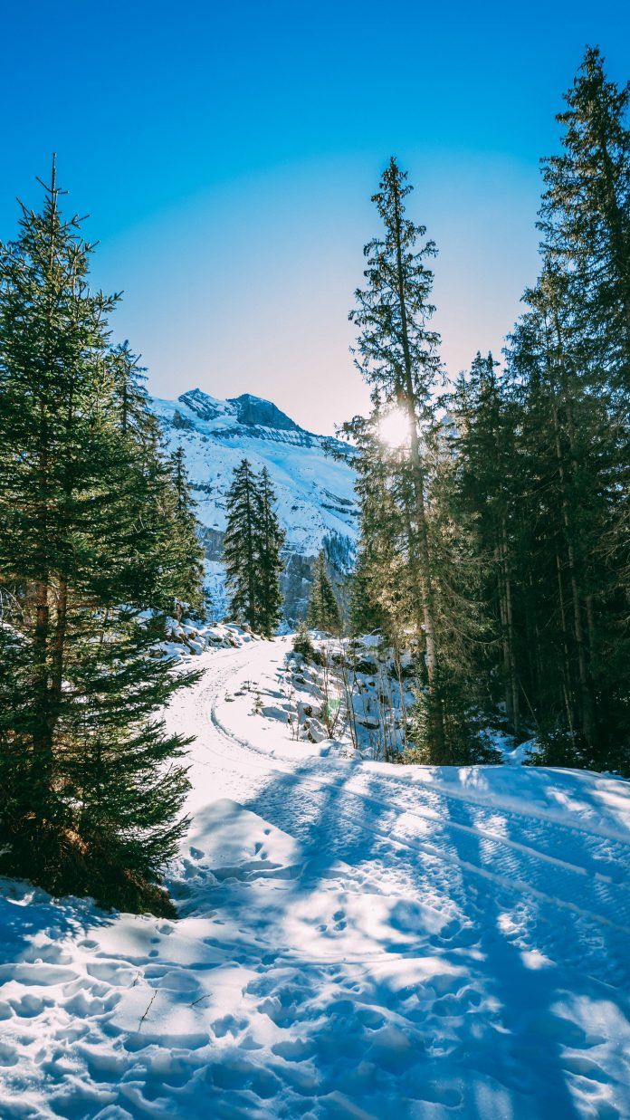 Android. Sonaija. Winter wallpaper HD