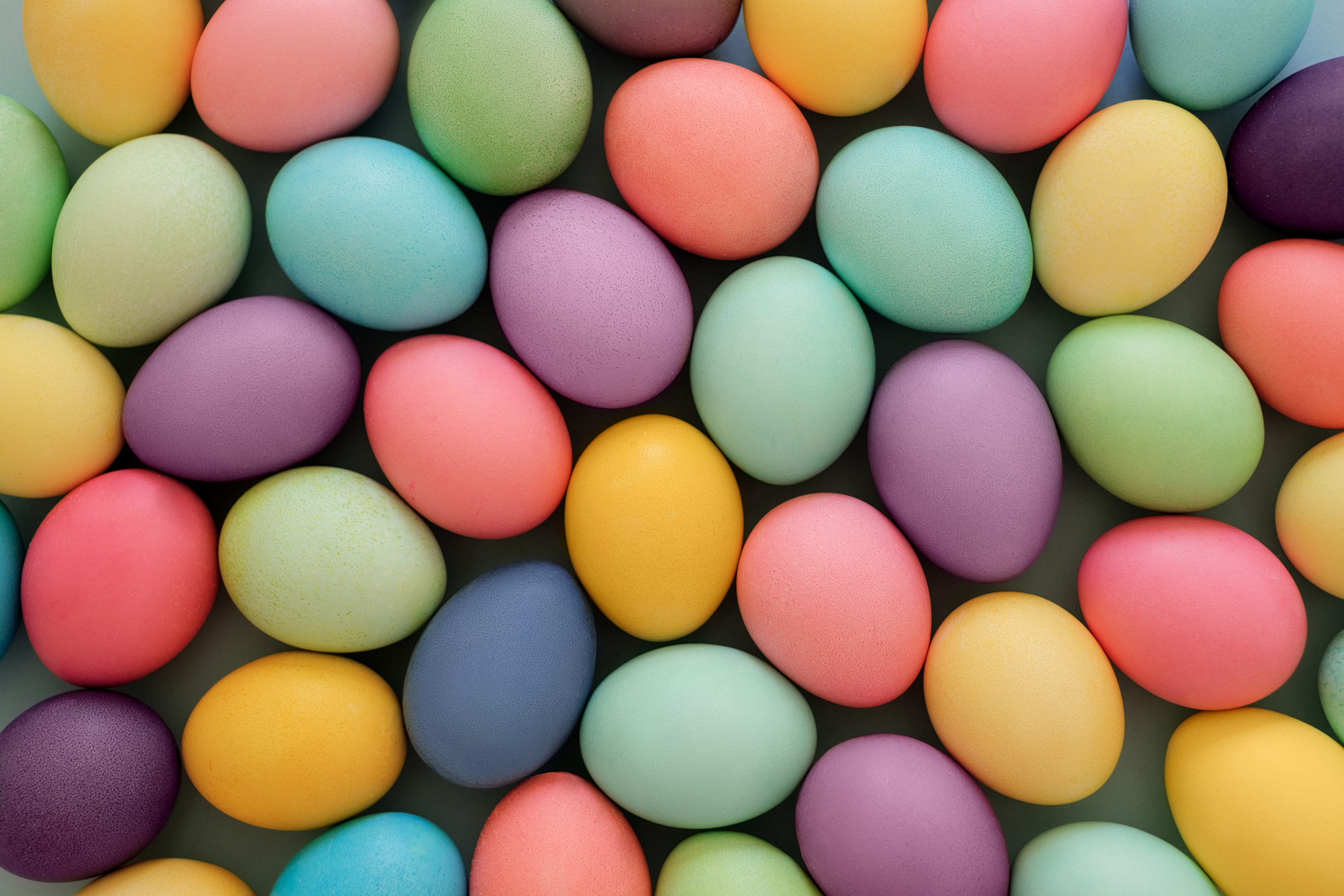 LIST: Easter egg hunts around Tampa Bay