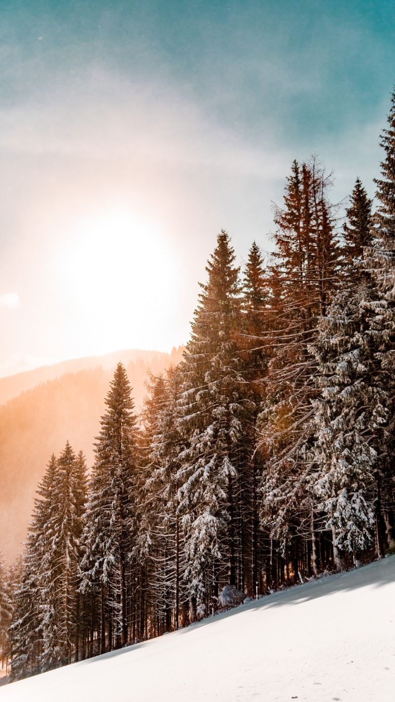 Winter Wallpaper For IPhone