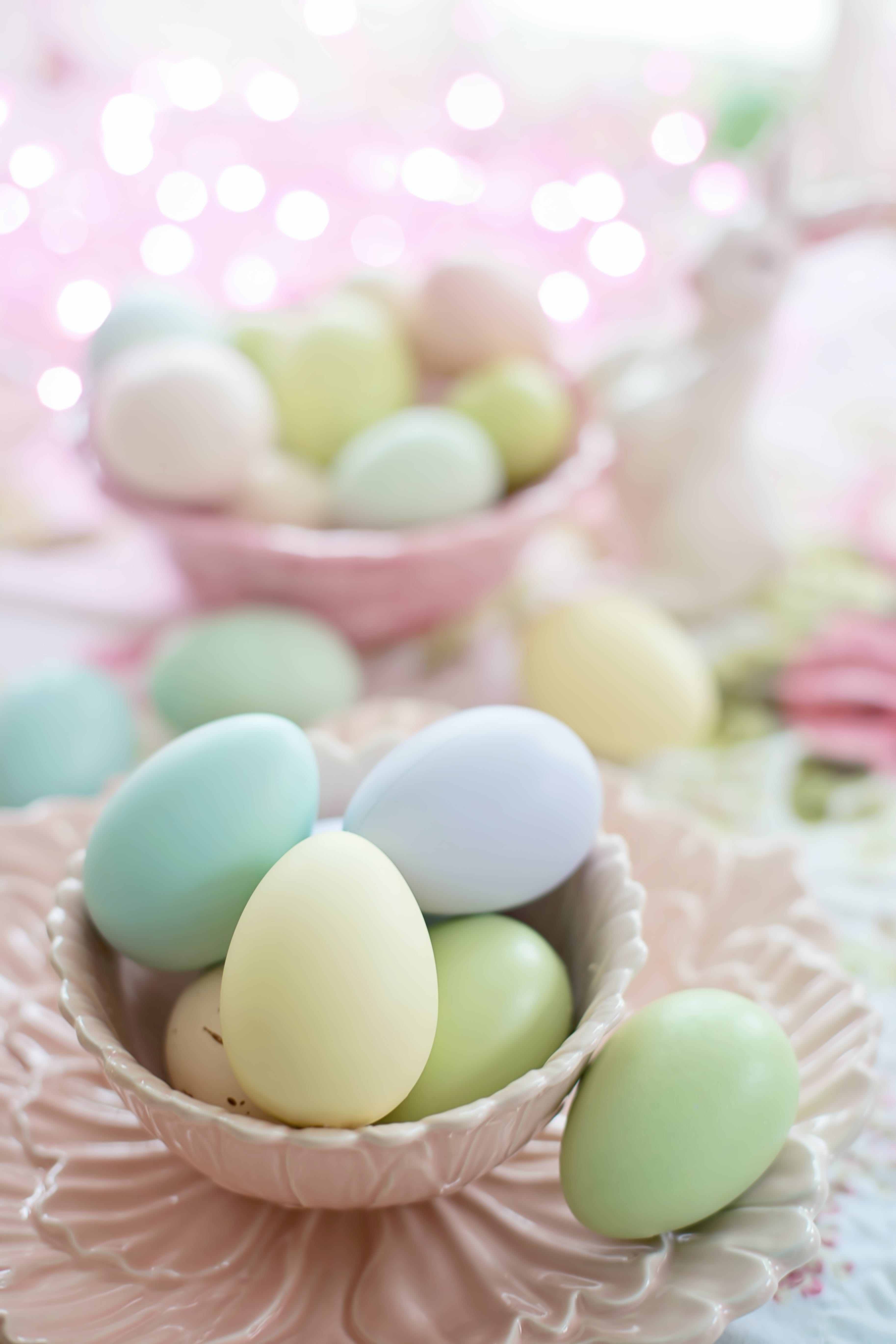 Assorted Colored Eggs · Free