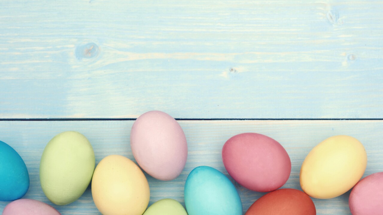 Easter egg hunts around Tampa Bay this