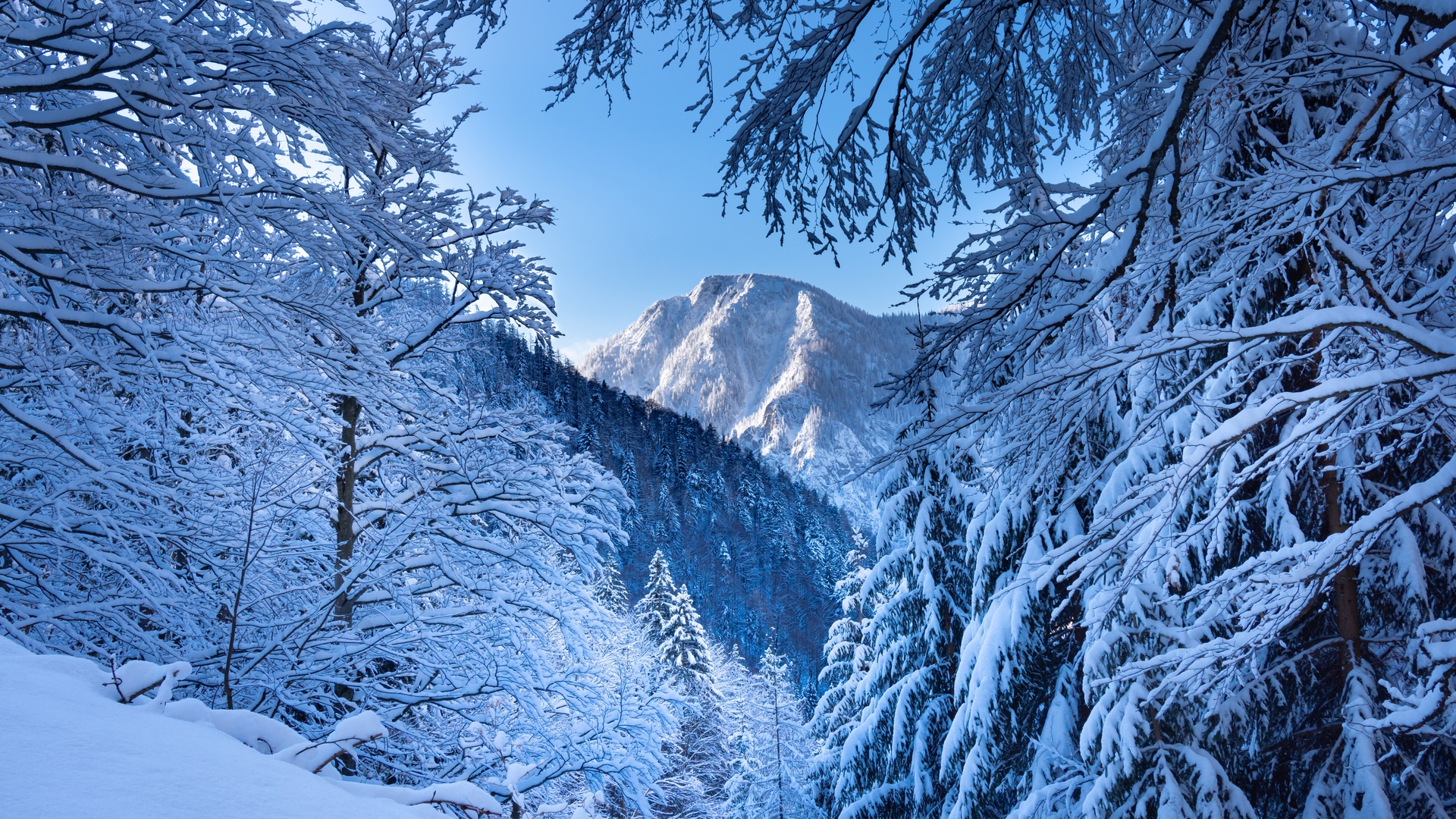 Snow Alps Austria 5k Laptop