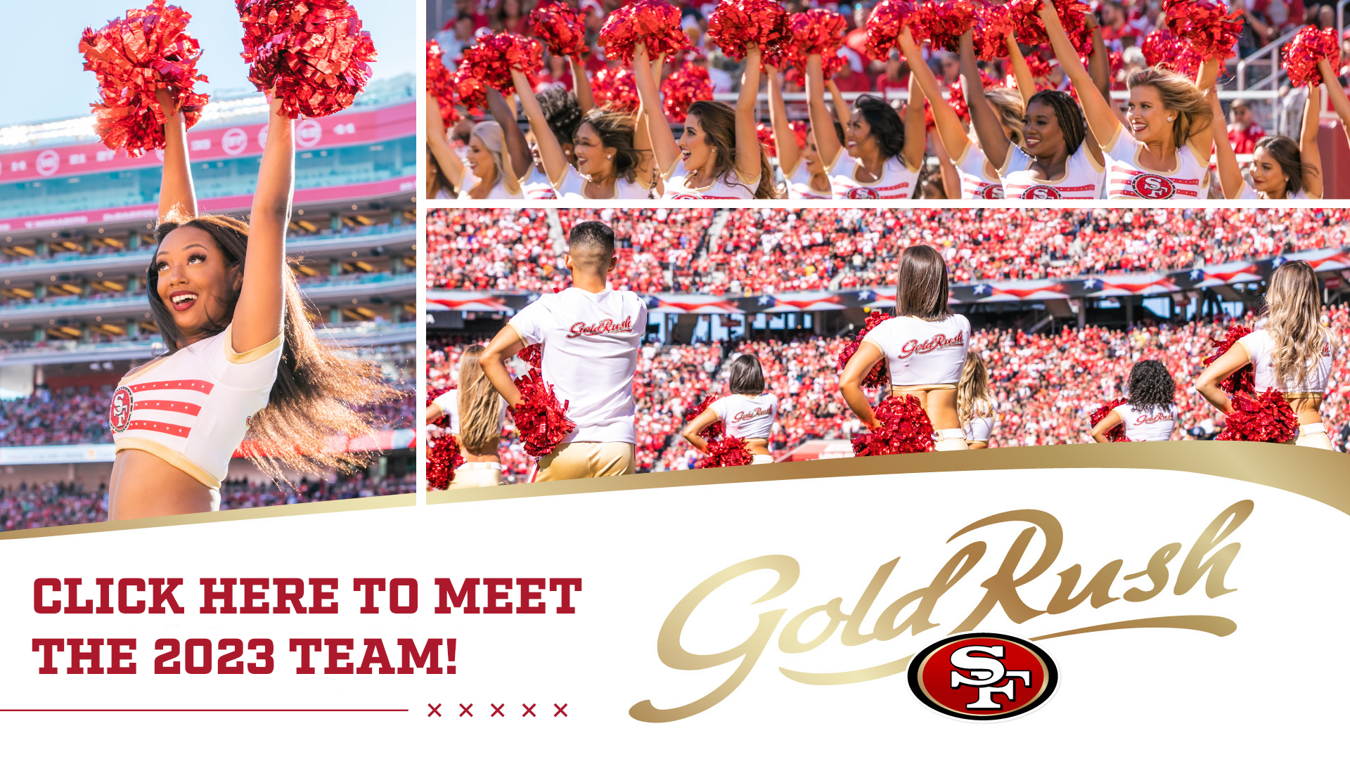 49ers Cheerleaders. Gold Rush. San