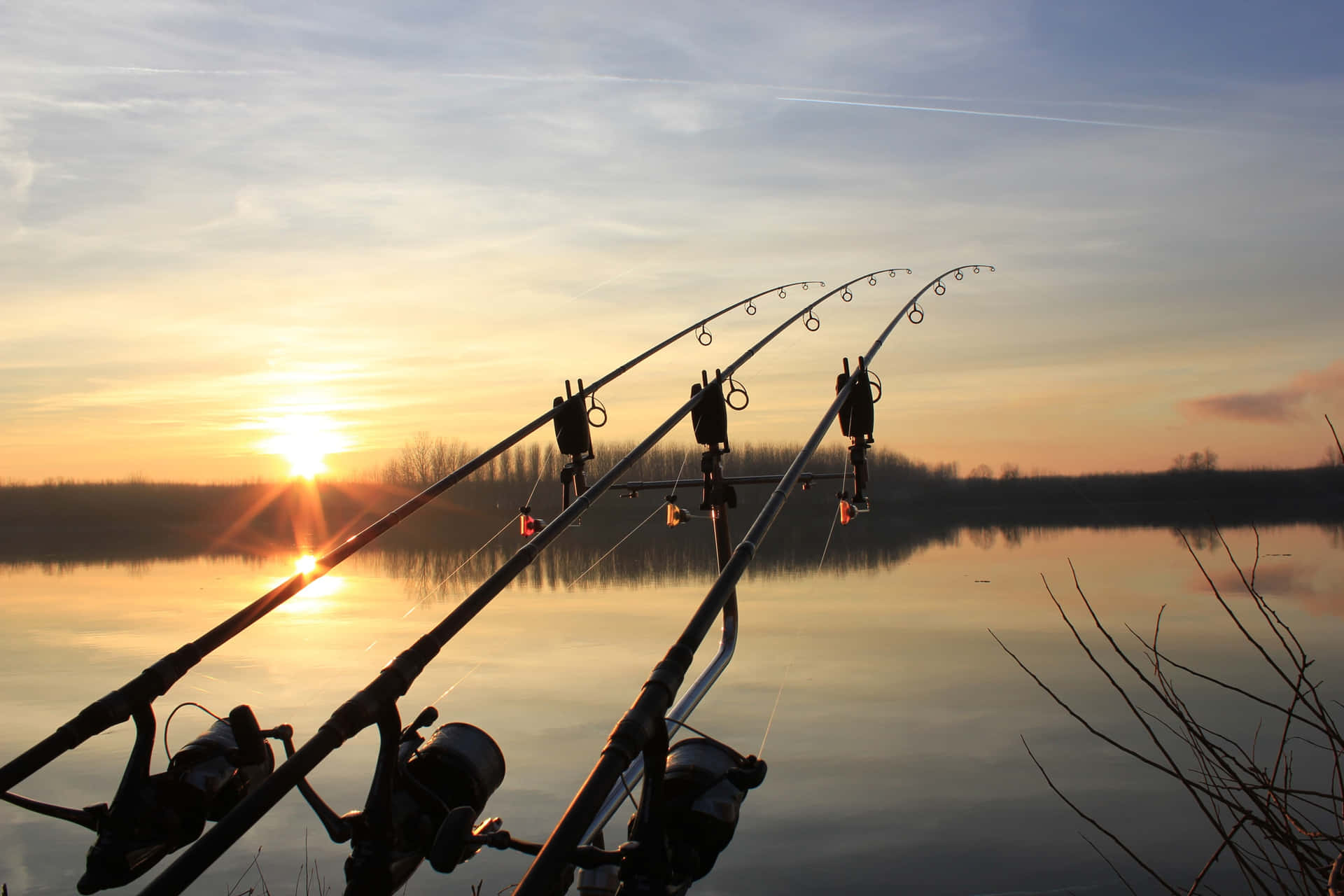 Fishing Rod Wallpaper