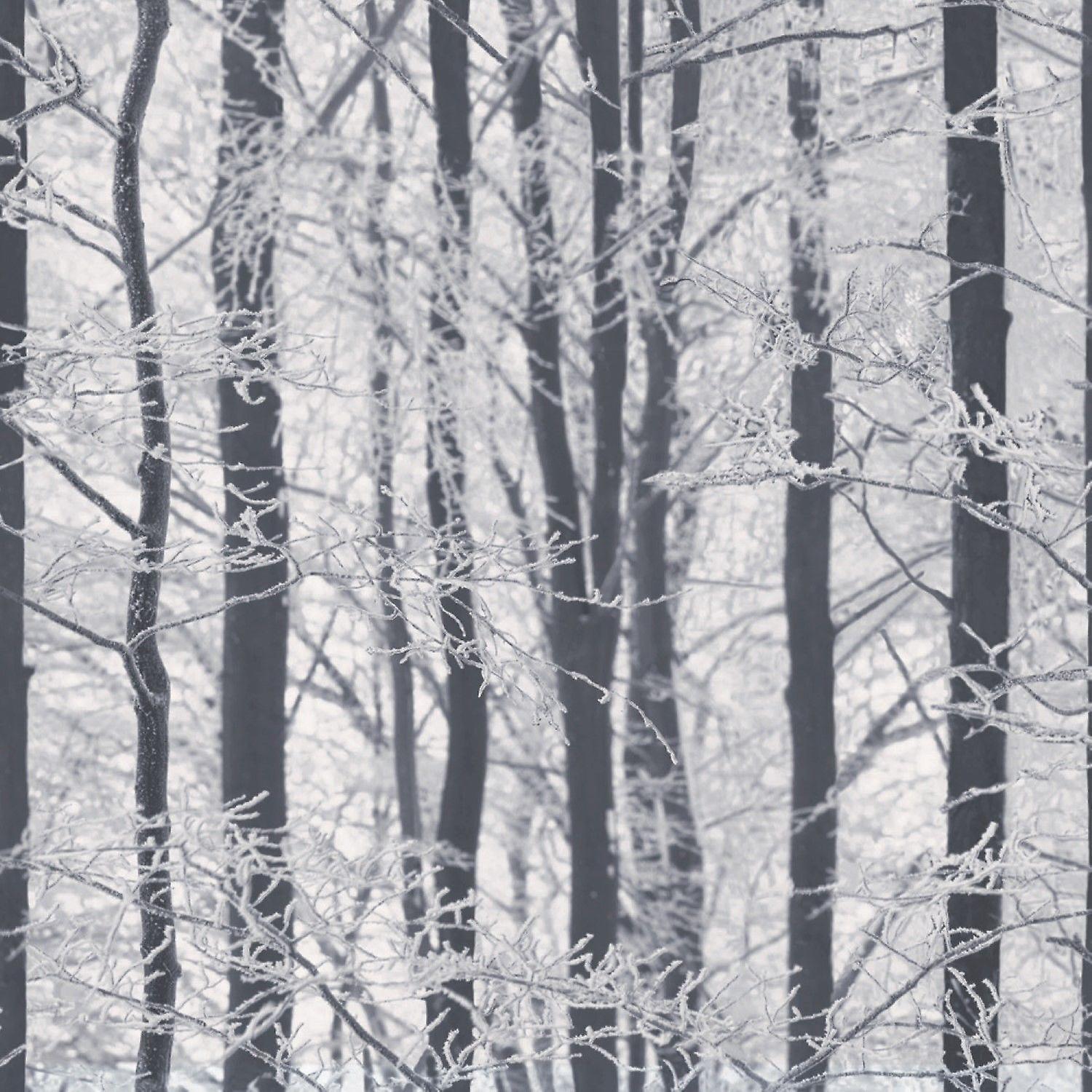Arthouse 670200 Frosted Wood Silver Wallpaper
