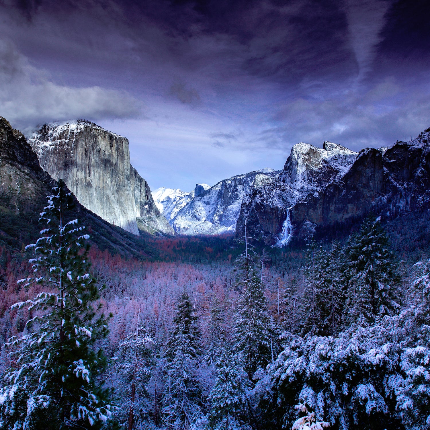 National Parks Are Free in 2021