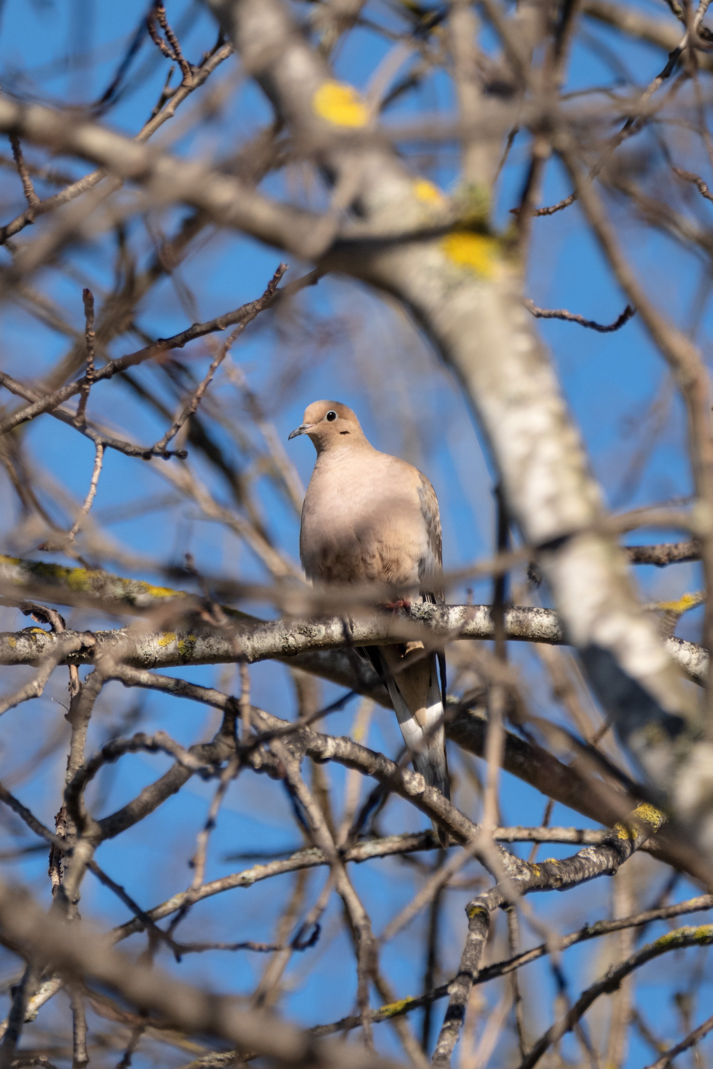 Saturday Winter Beach Walk