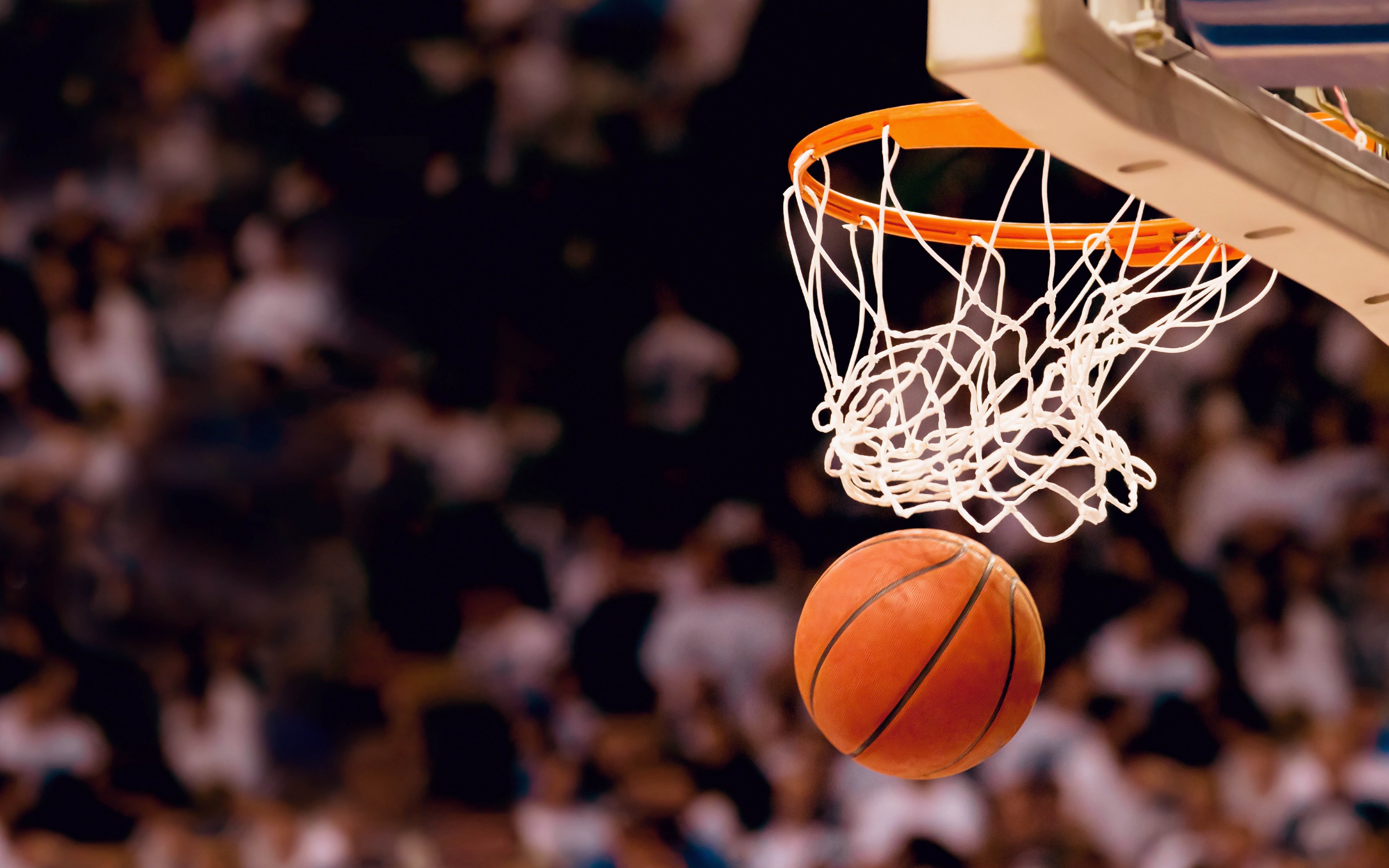 Basketball HD Wallpaper, HD Sports