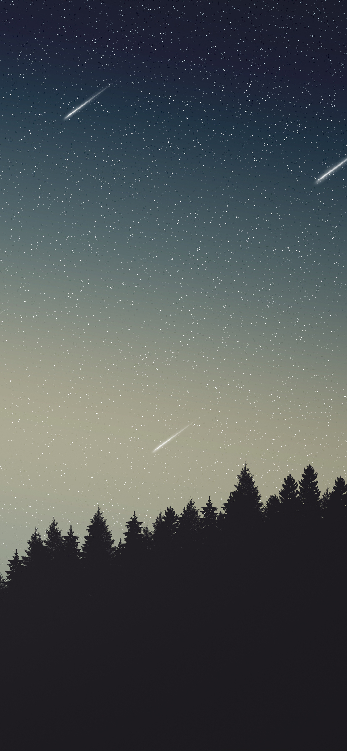 Open Sky Trees Shooting Stars