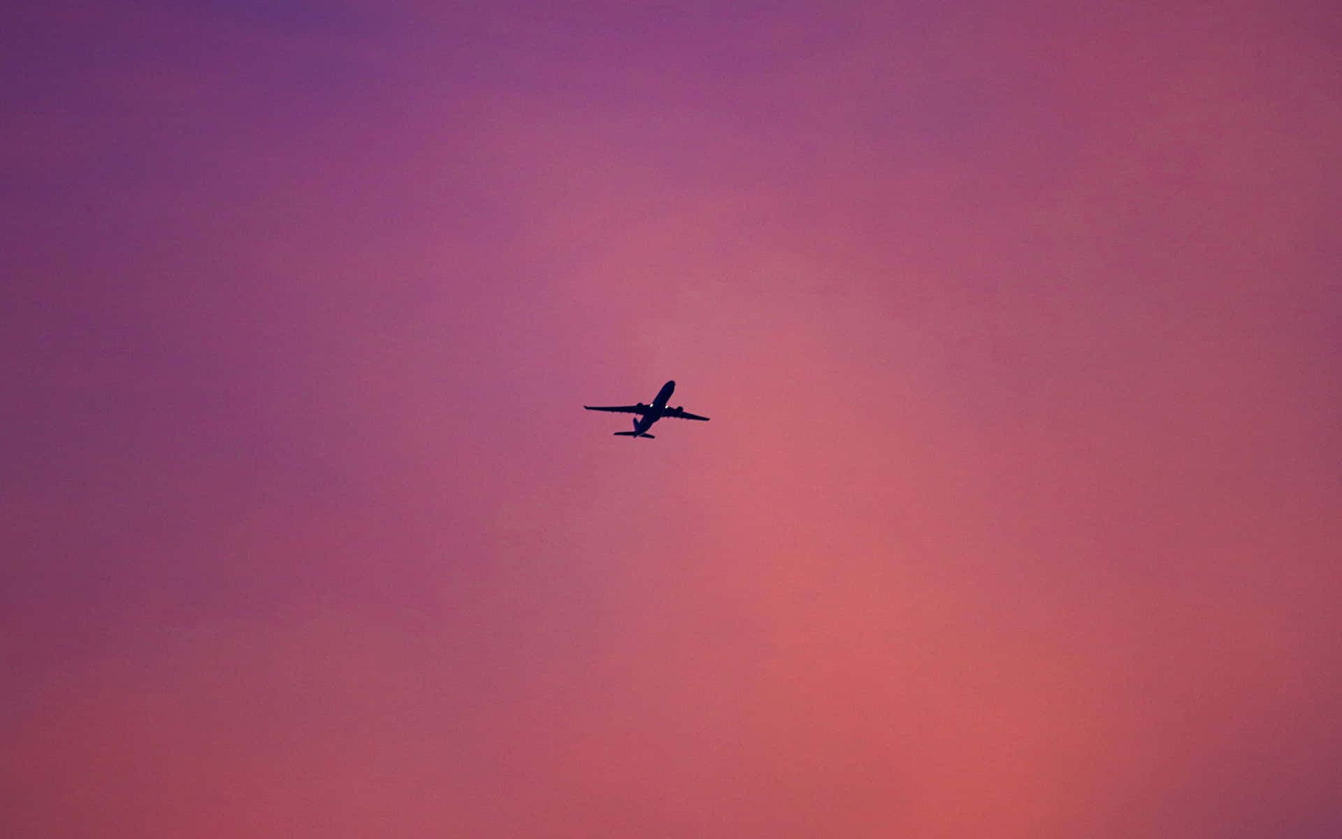 Sky in a Pink Plane! Wallpaper