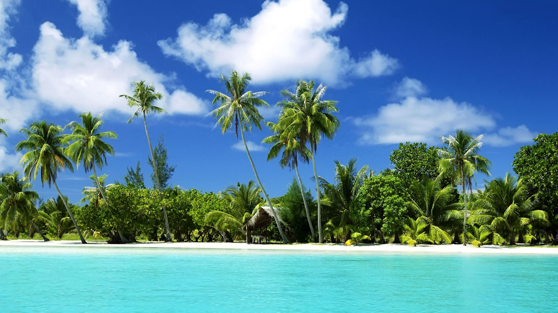 tropical beach wallpaper