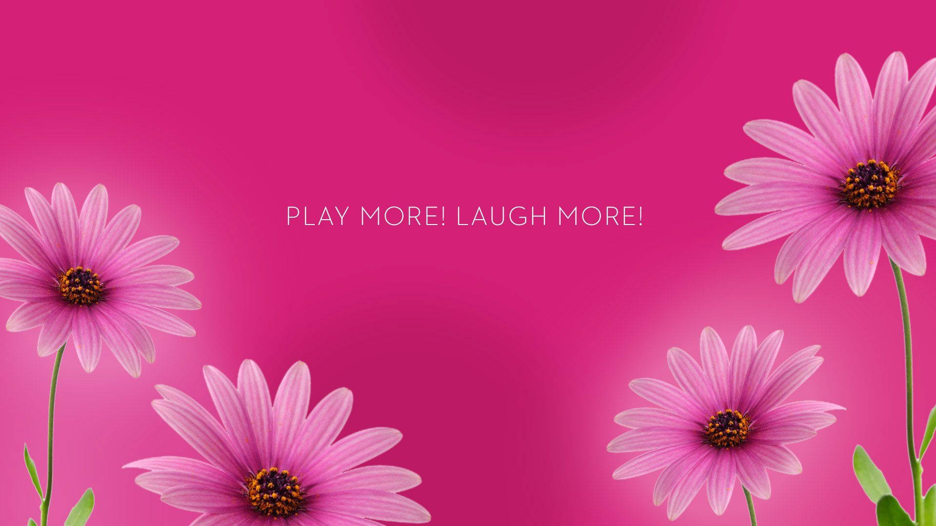 Download Pink Floral Desktop With Quote