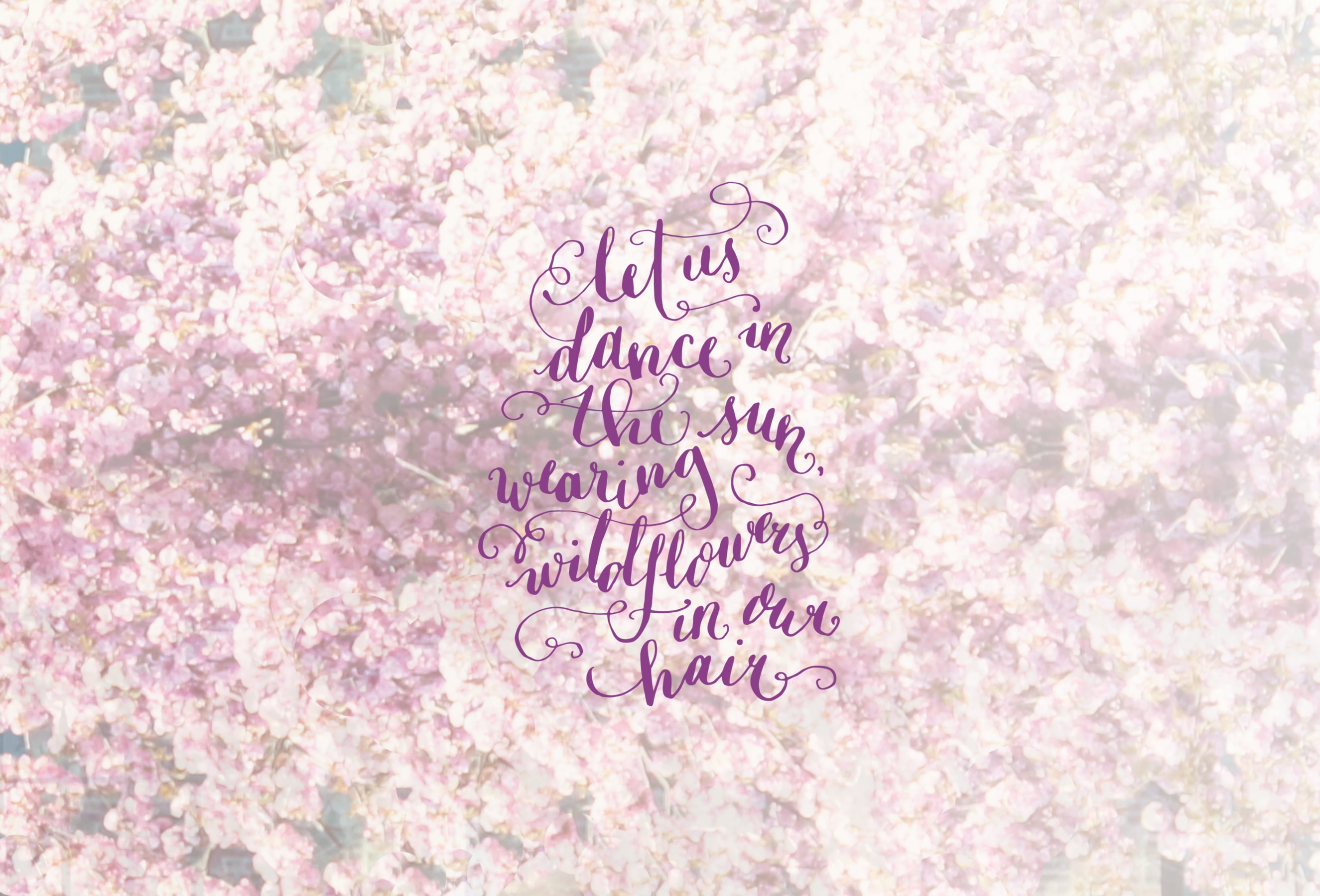 Desktop Designers // Caroline Hutchison