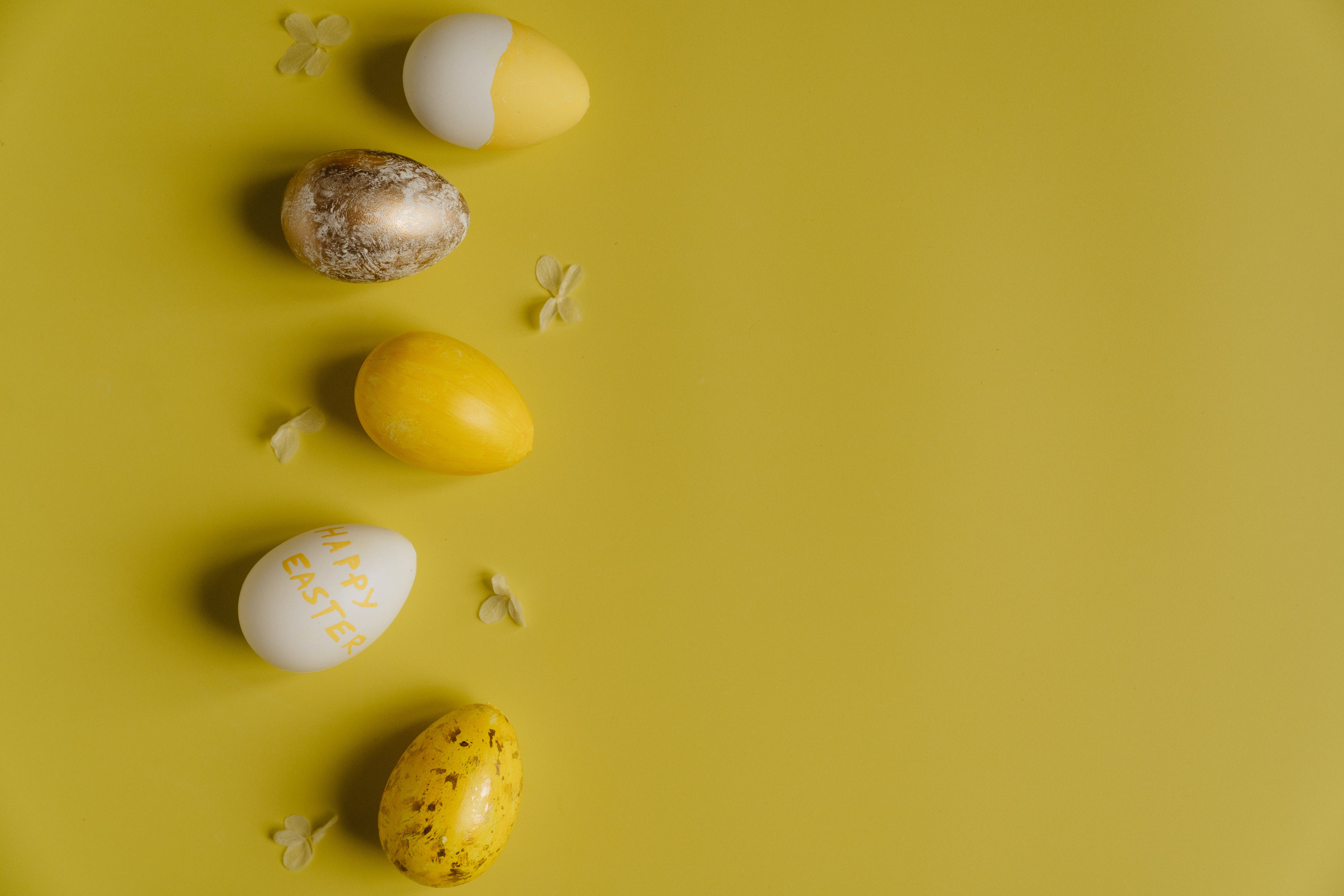 Easter Eggs and Yellow Tulips · Free